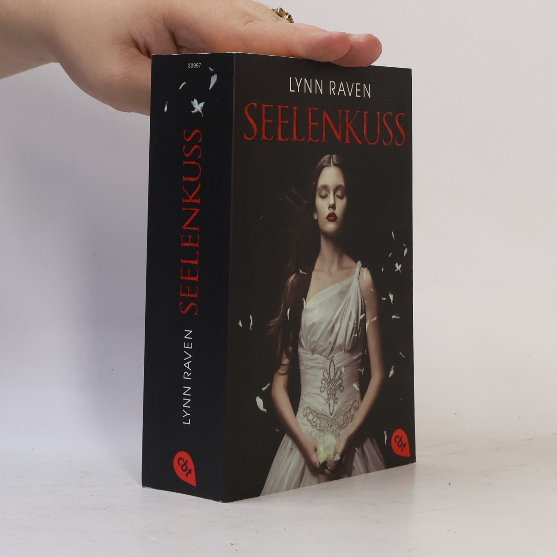 Lynn Raven Seelenkuss