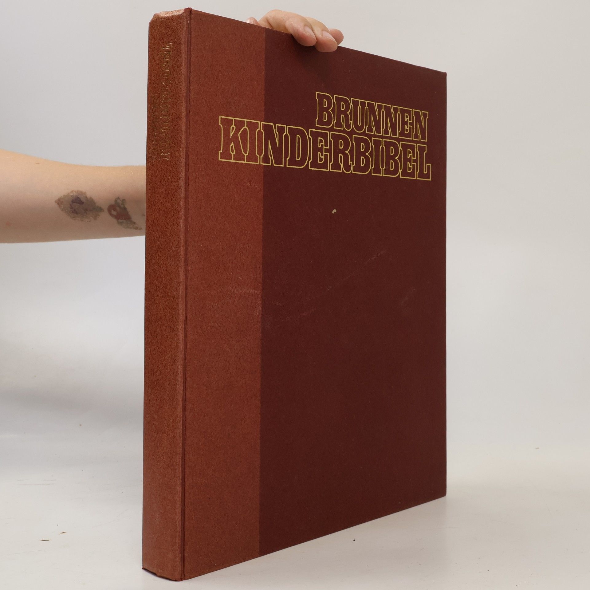 Jenny Robertson Brunnen-Kinderbibel