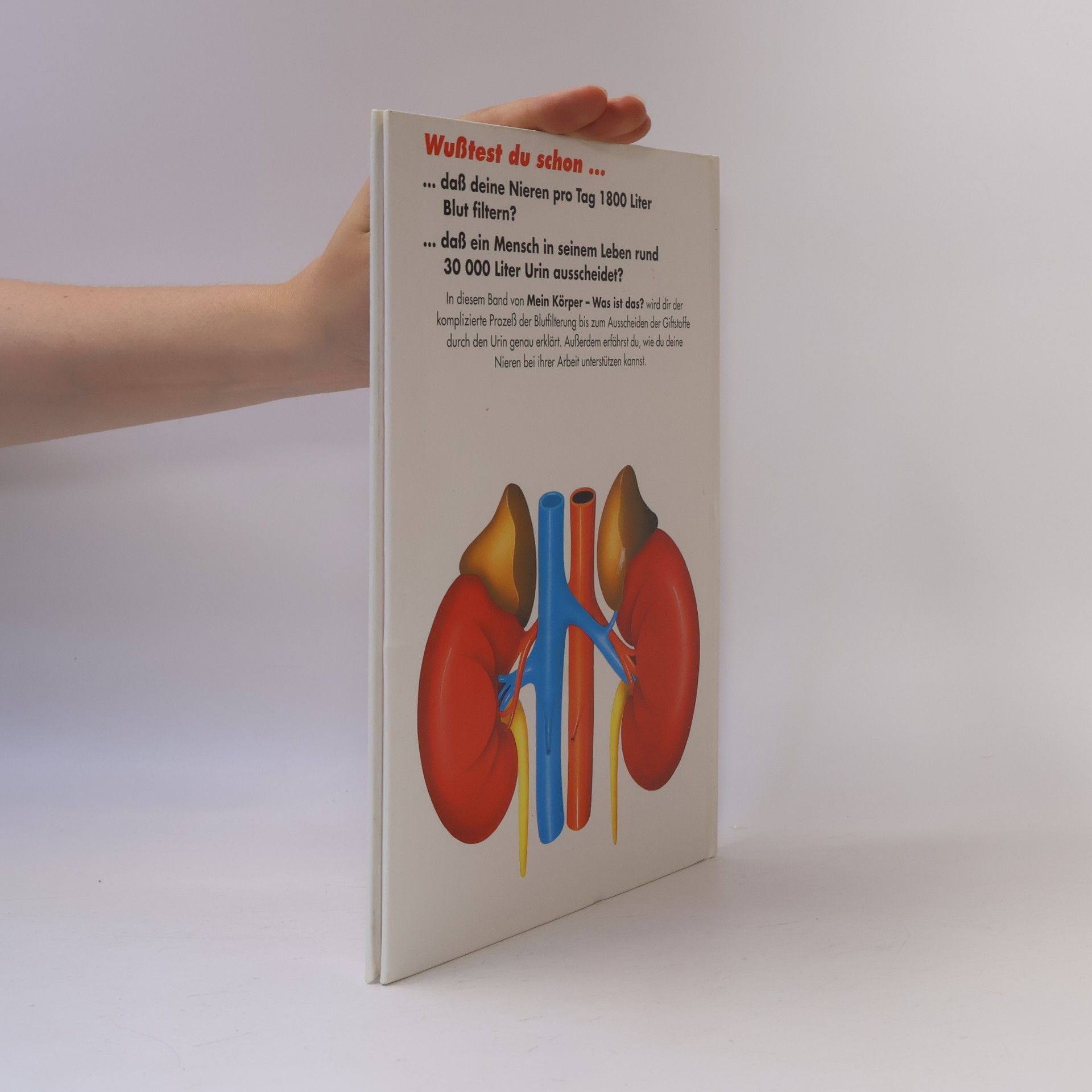 Autores varios Mein Körper. Was ist das? 11. Die Nieren
