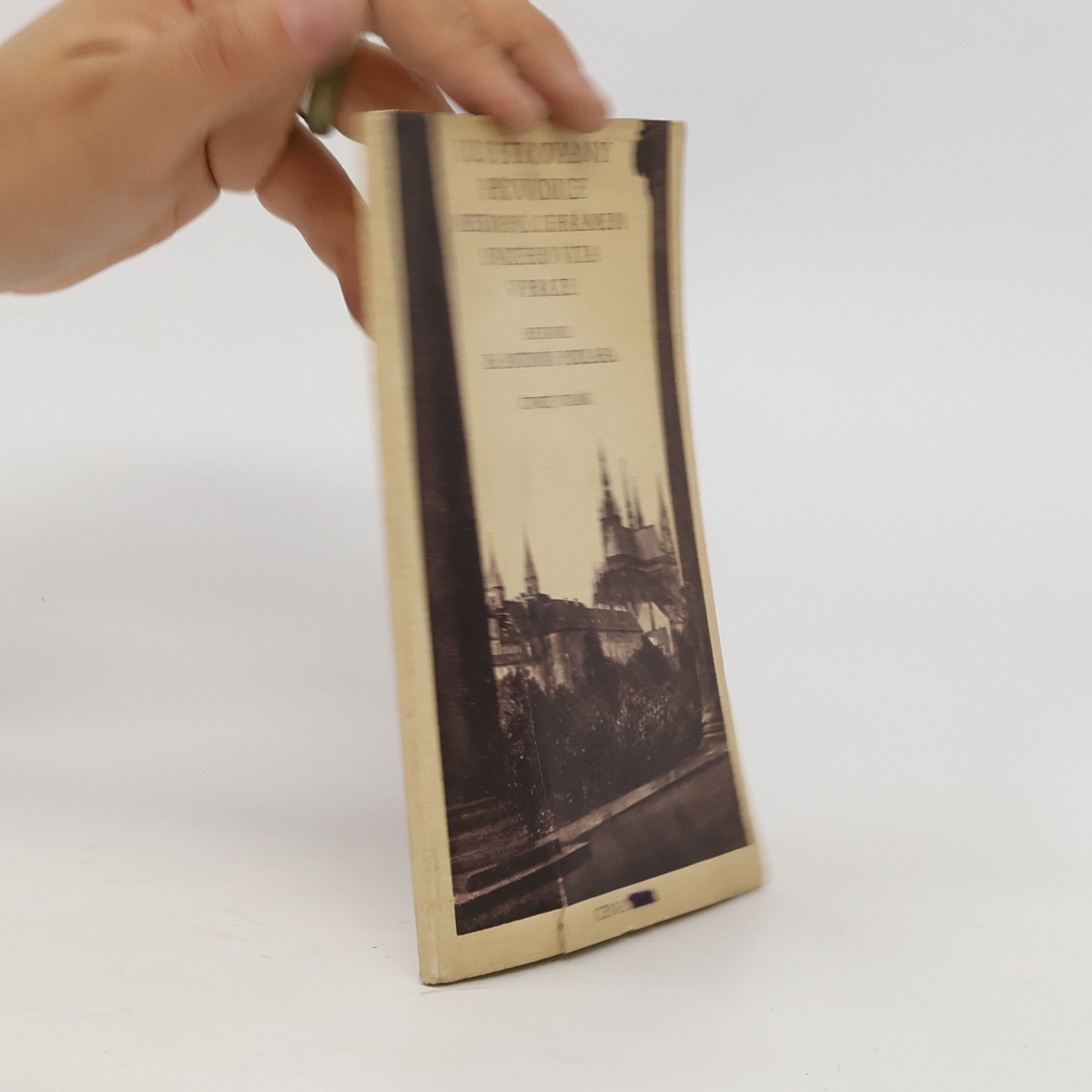 Ilustrovaný průvodce metropolitním chrámem Svatého Víta v Praze