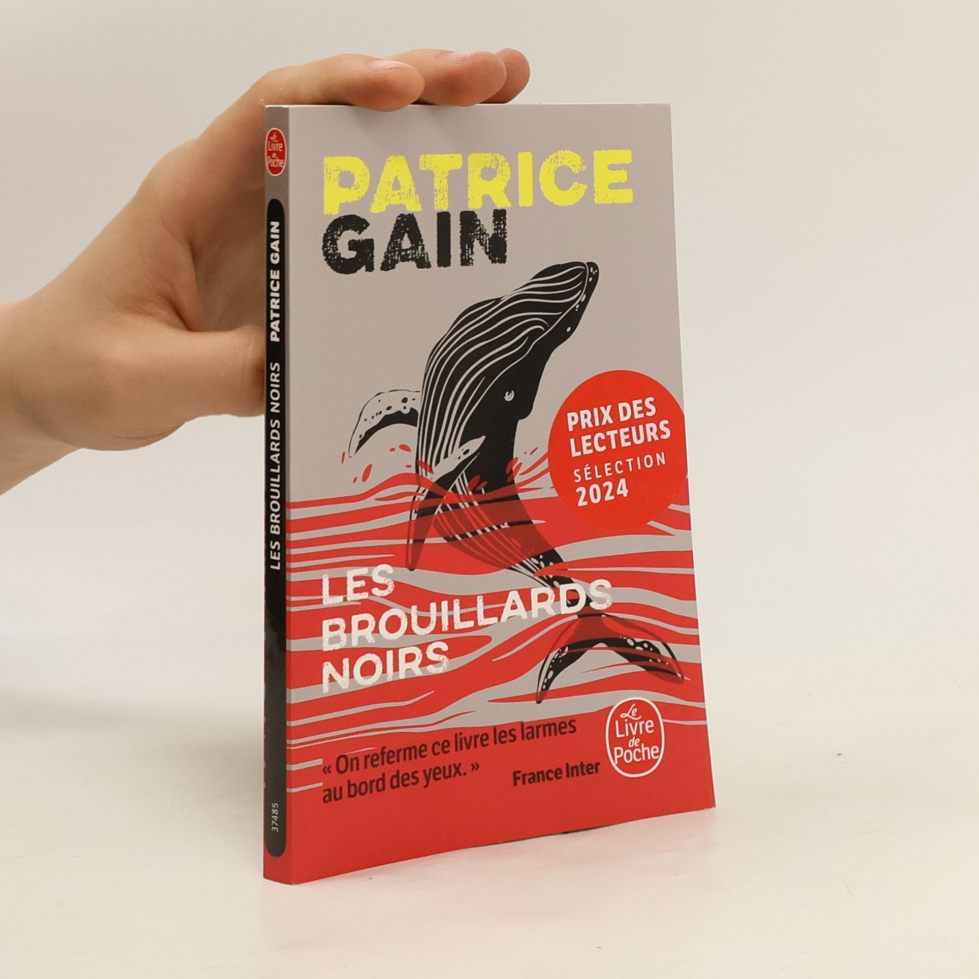 Patrice Gaines Le Livre de Poche: Les Brouillards noirs