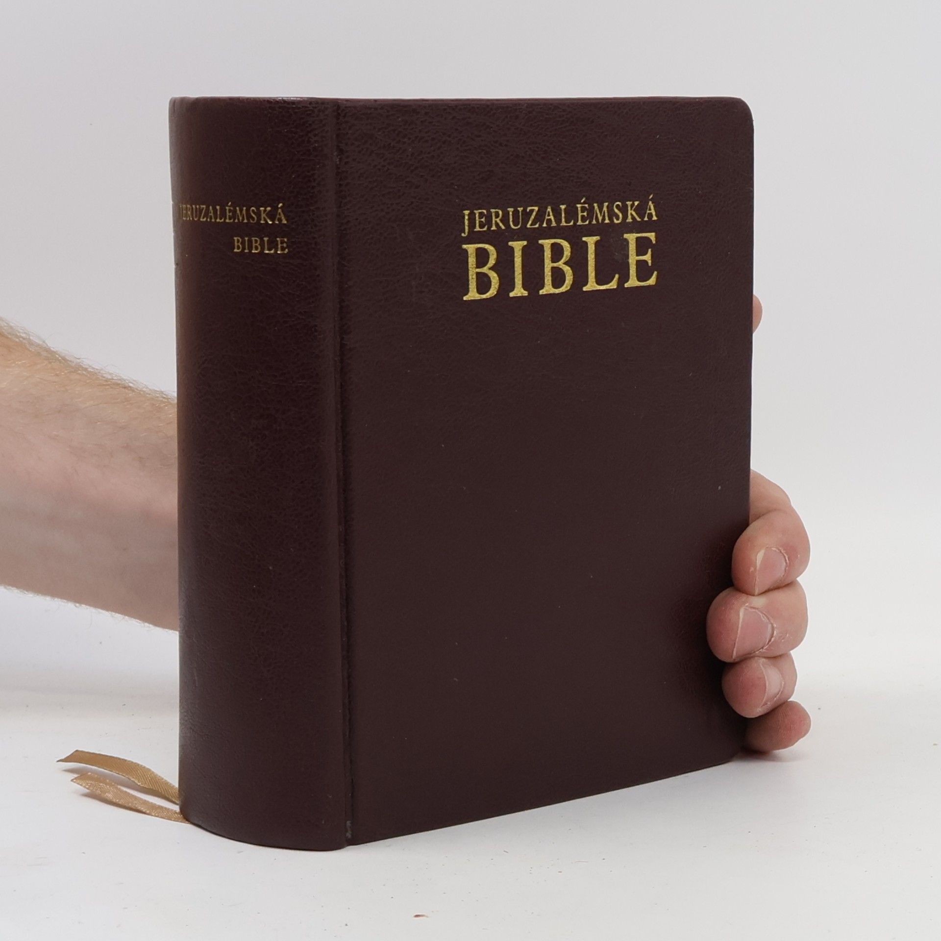 Dagmar Halasová Jeruzalémská Bible