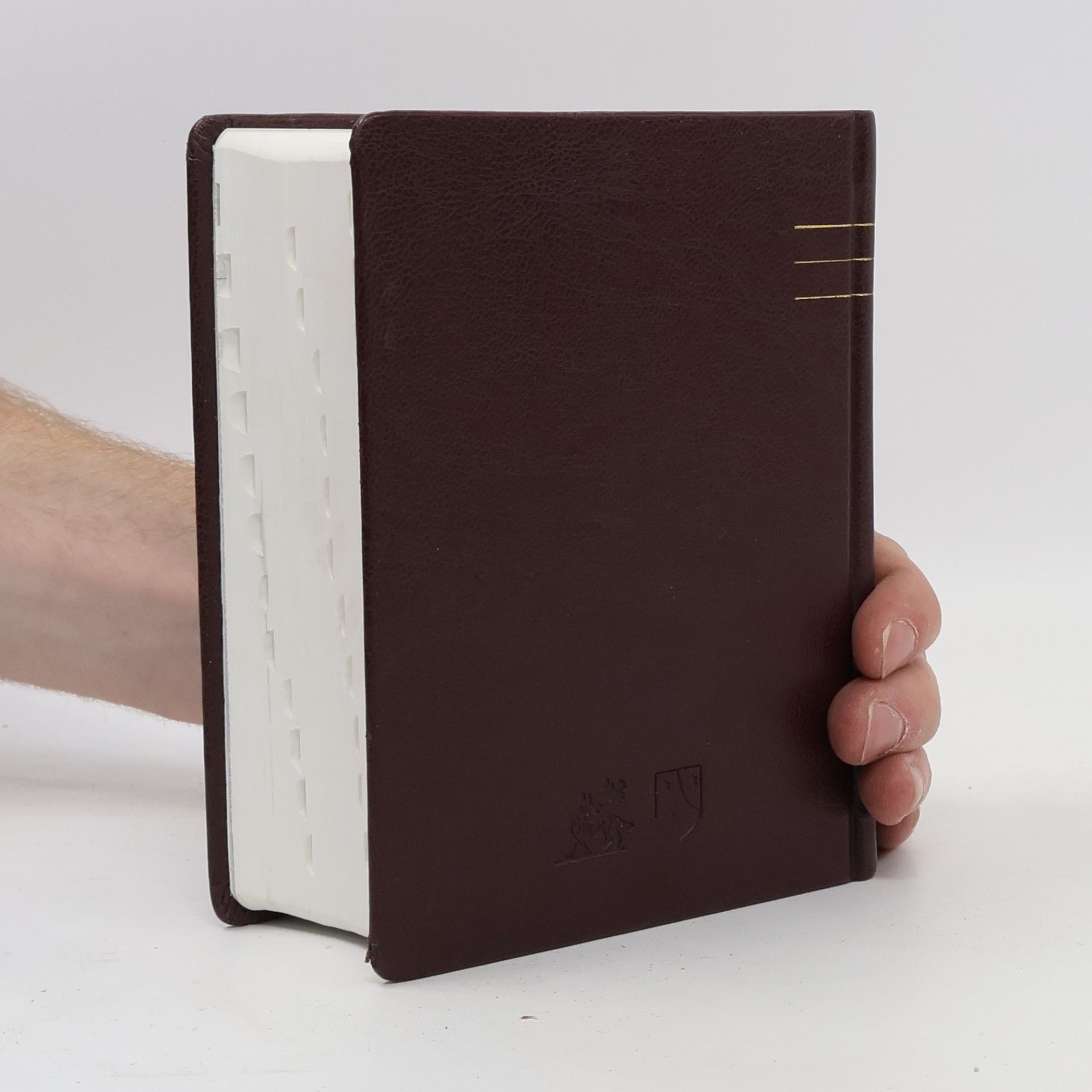 Dagmar Halasová Jeruzalémská Bible
