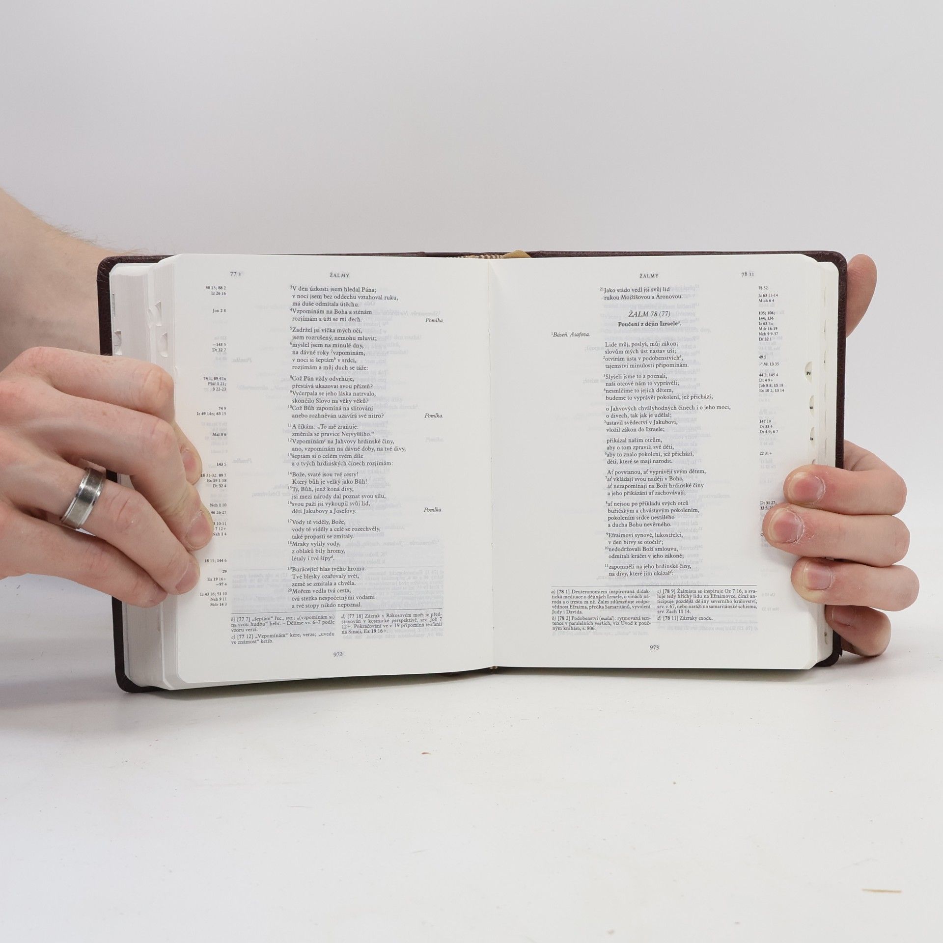 Dagmar Halasová Jeruzalémská Bible