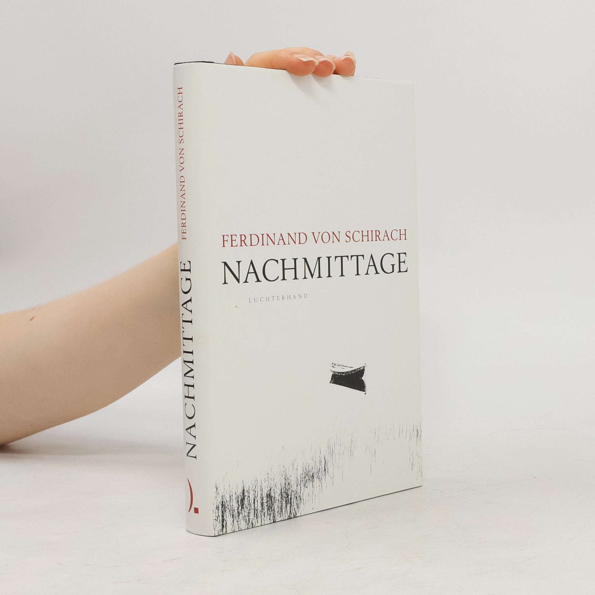 Ferdinand von Schirach Nachmittage