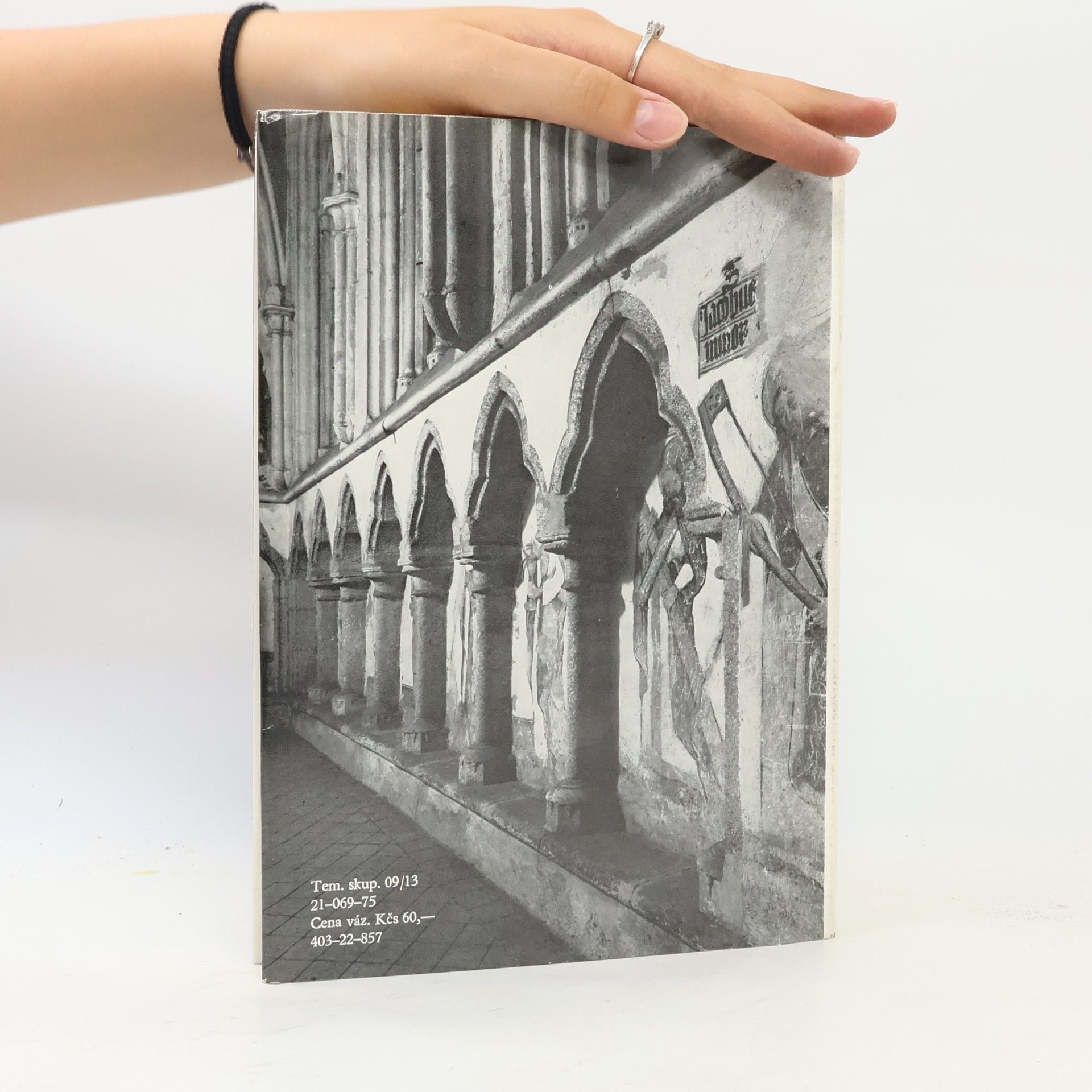 Jiří Kuthan Gotická architektura v jižních Čechách