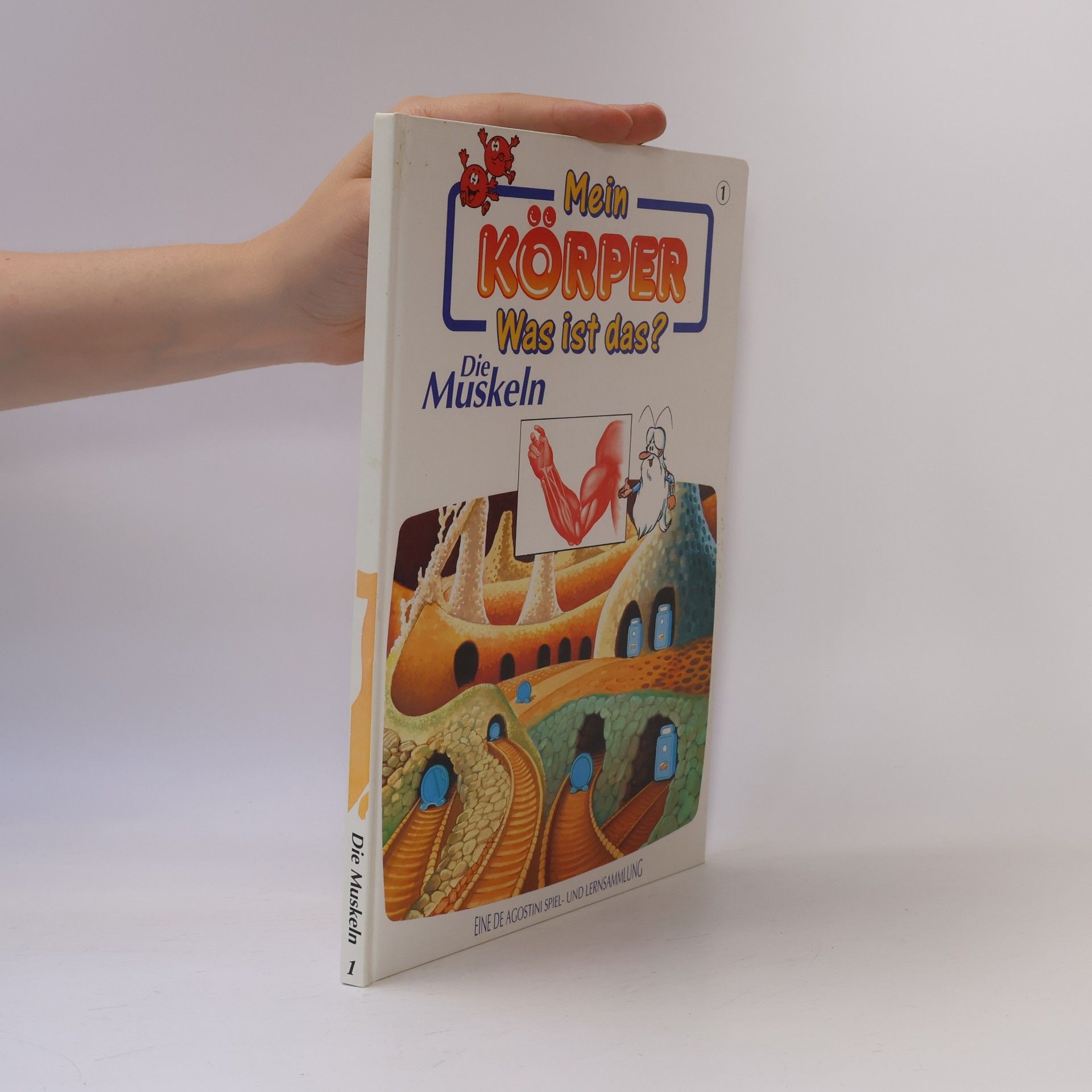 Autorenkollektiv Mein Körper. Was ist das? Die Muskeln 1
