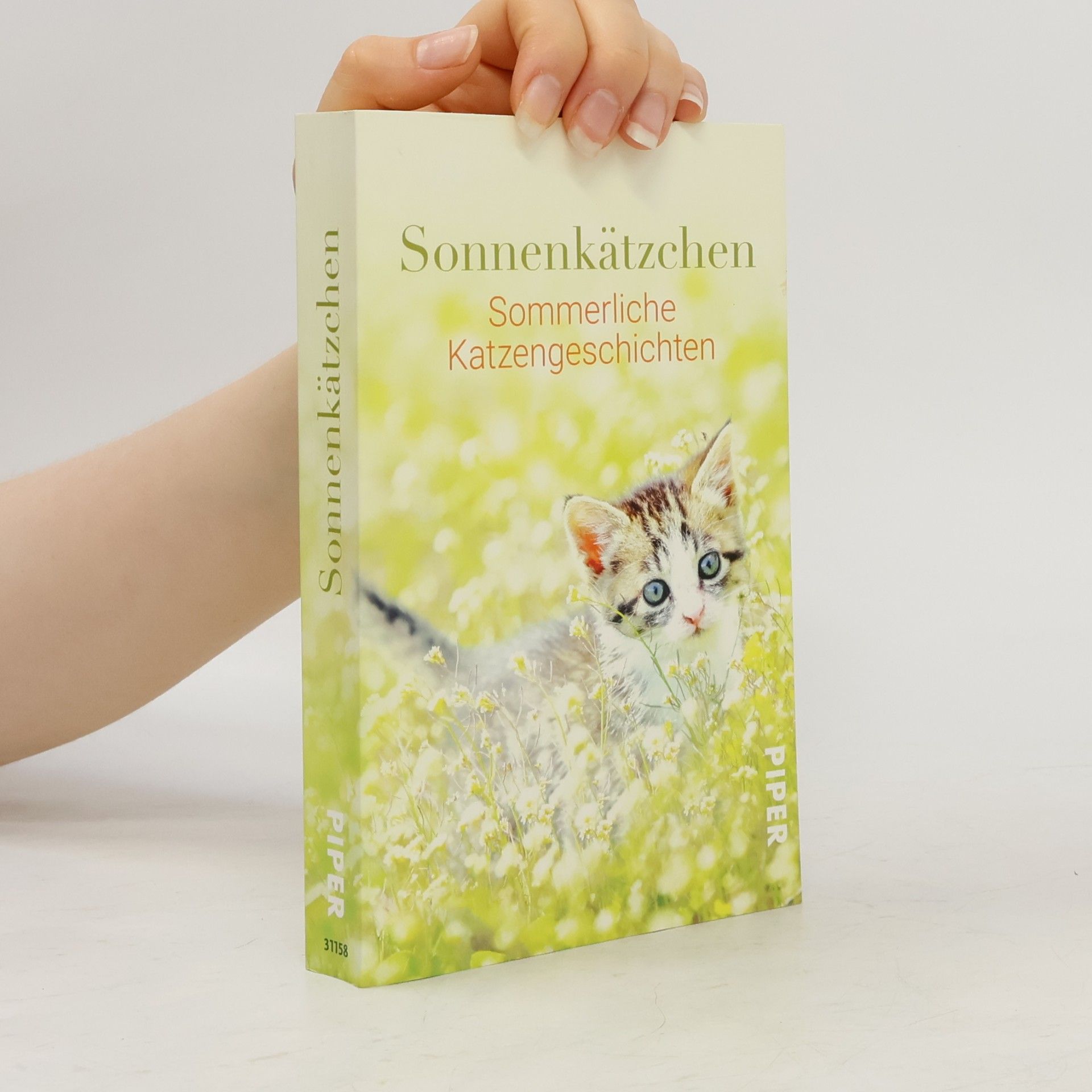 Jone Heer Sonnenkätzchen