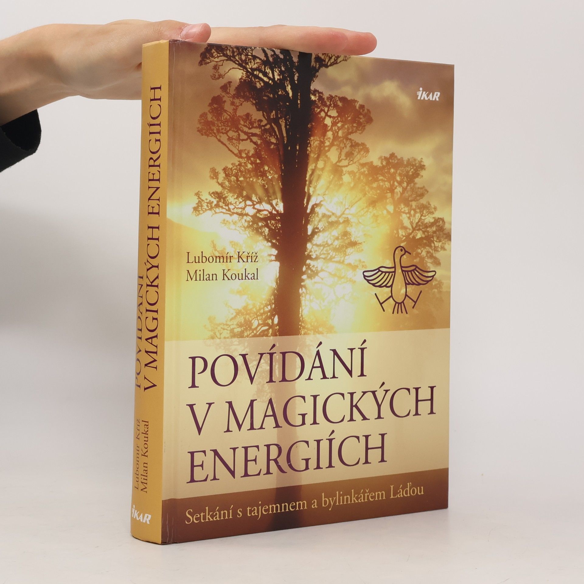 Lubomír Kříž Povídání v magických energiích