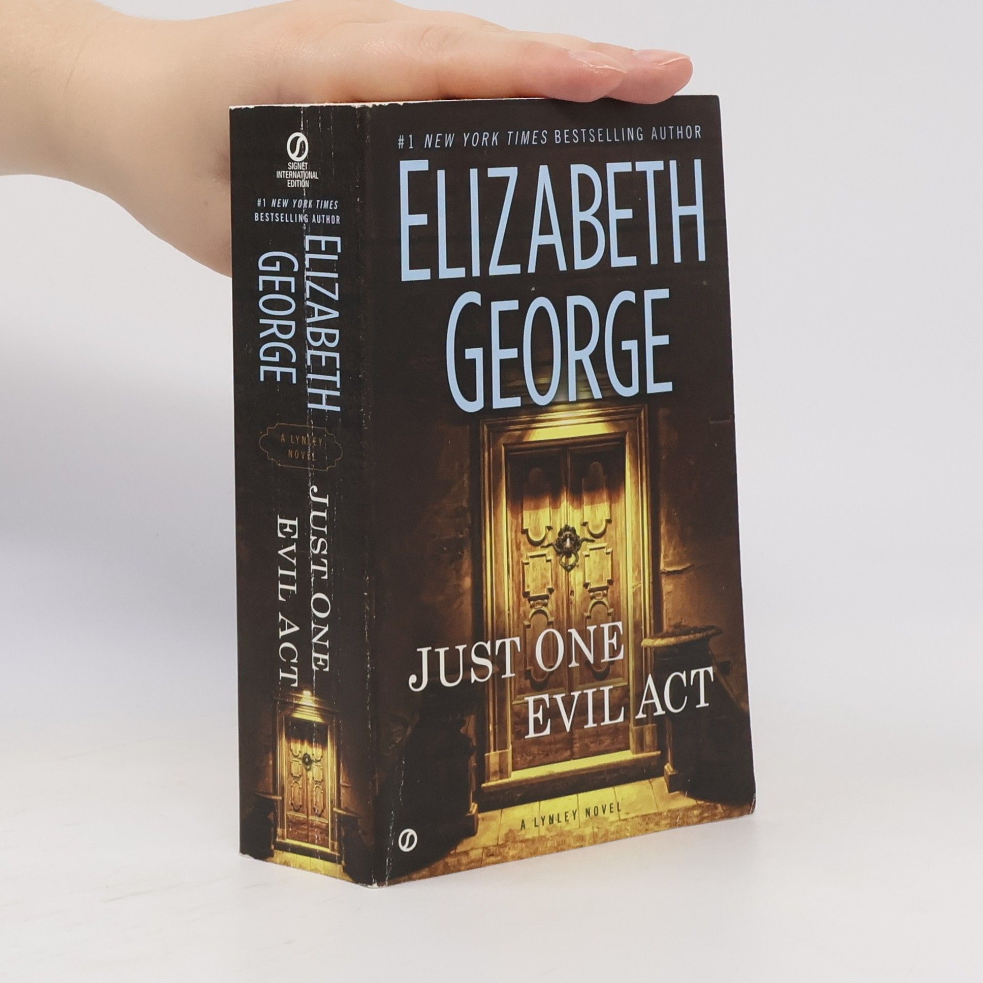 Elizabeth George Just One Evil Act