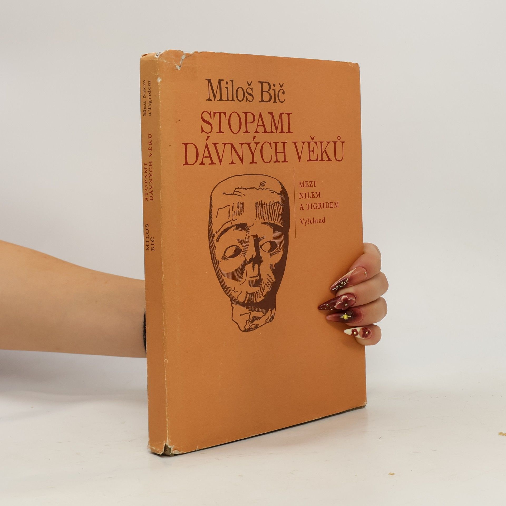 Stopami dávných věků
