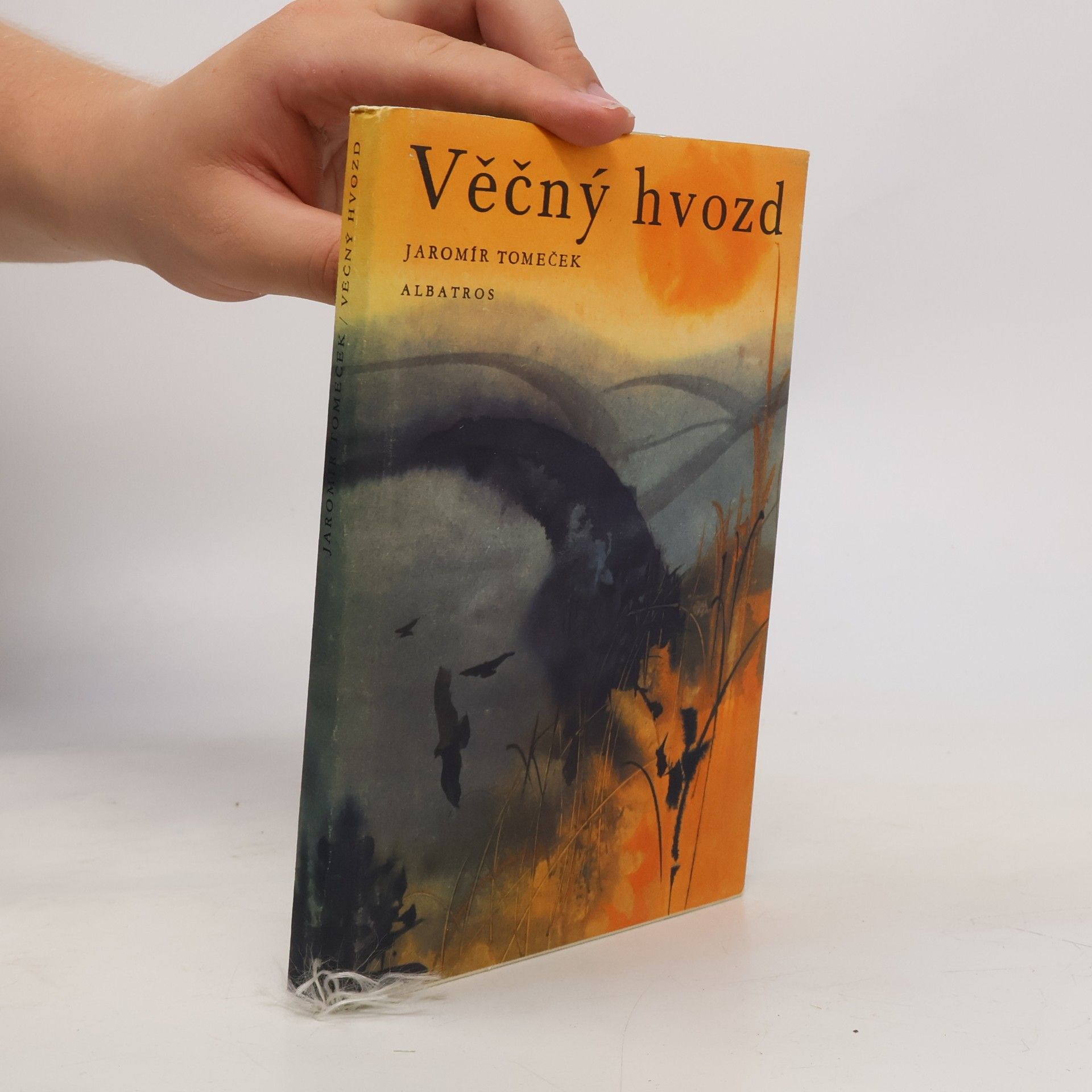 Věčný hvozd