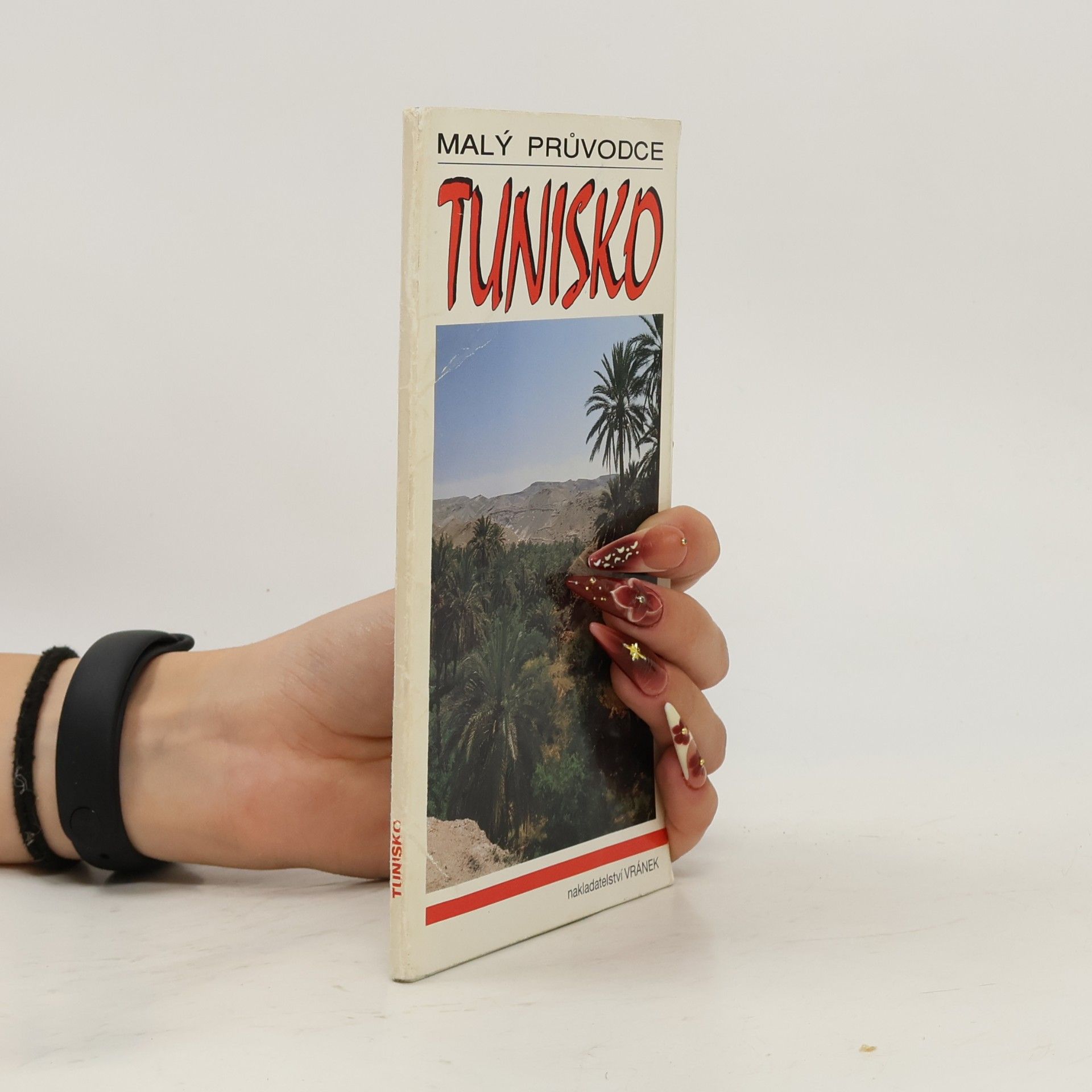 Kolektiv autorů Malý průvodce. Tunisko