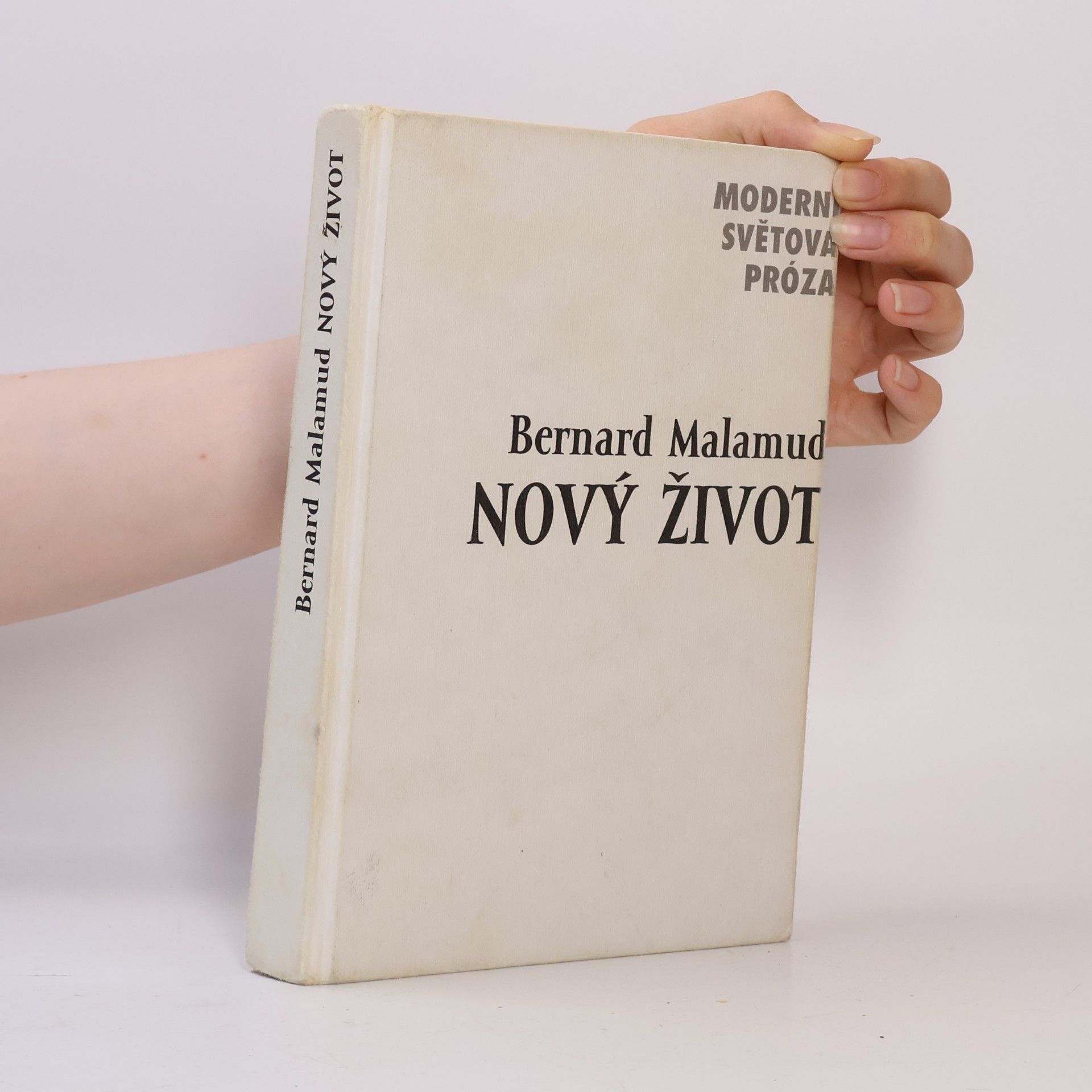 Bernard Malamud Nový život. Sám proti maloměstu sám se svou depresí