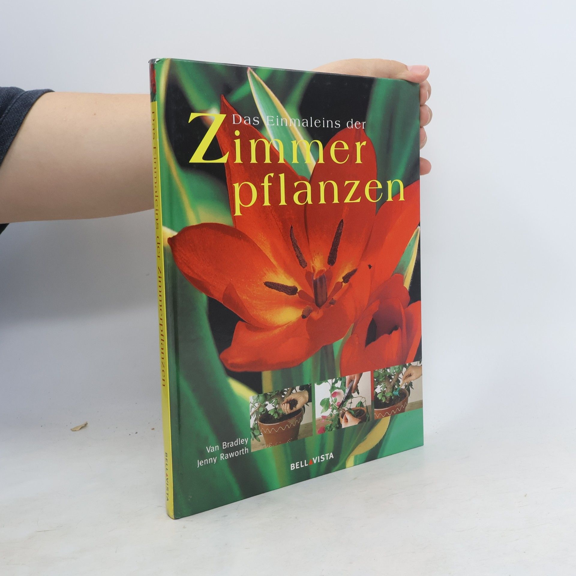 Van Allen Bradley Das Einmaleins der Zimmerpflanzen