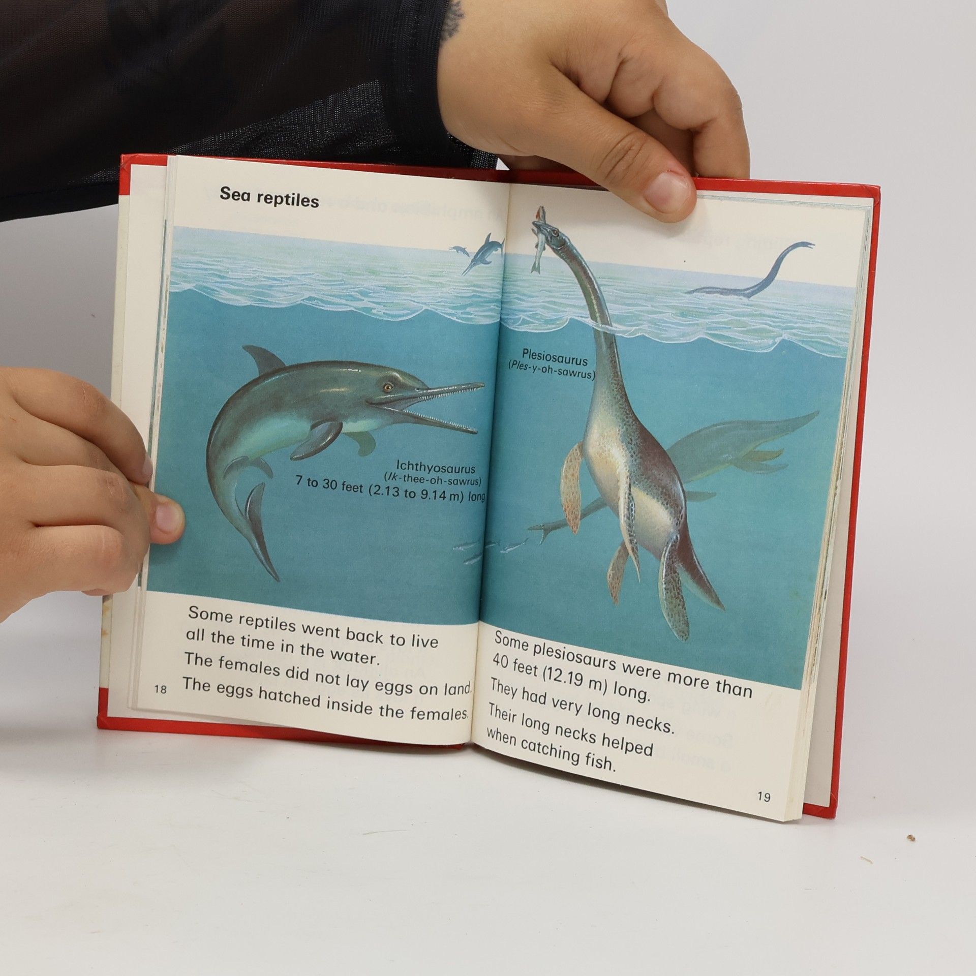 Colin Douglas Dinosaurus