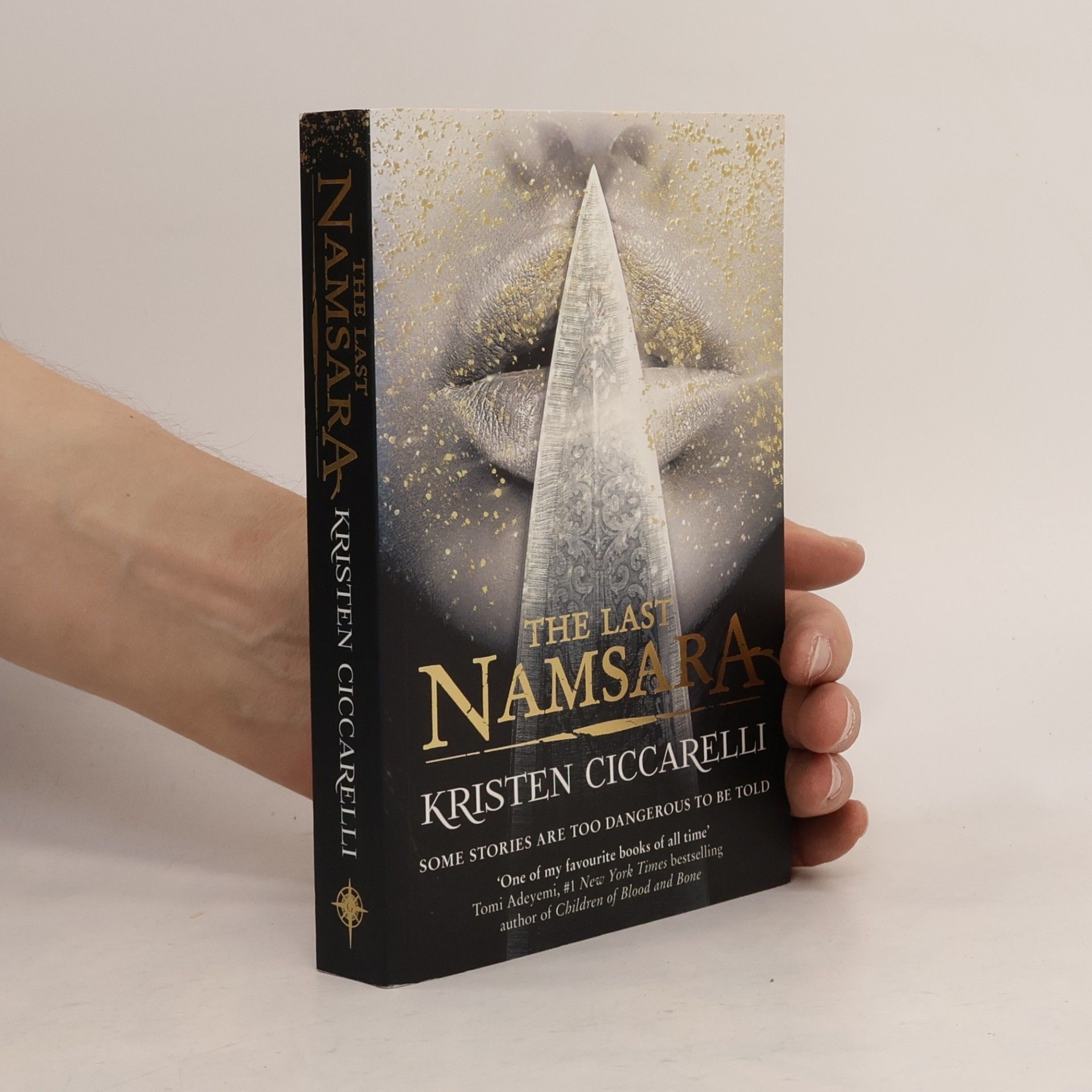 Kristen Ciccarelli The Last Namsara