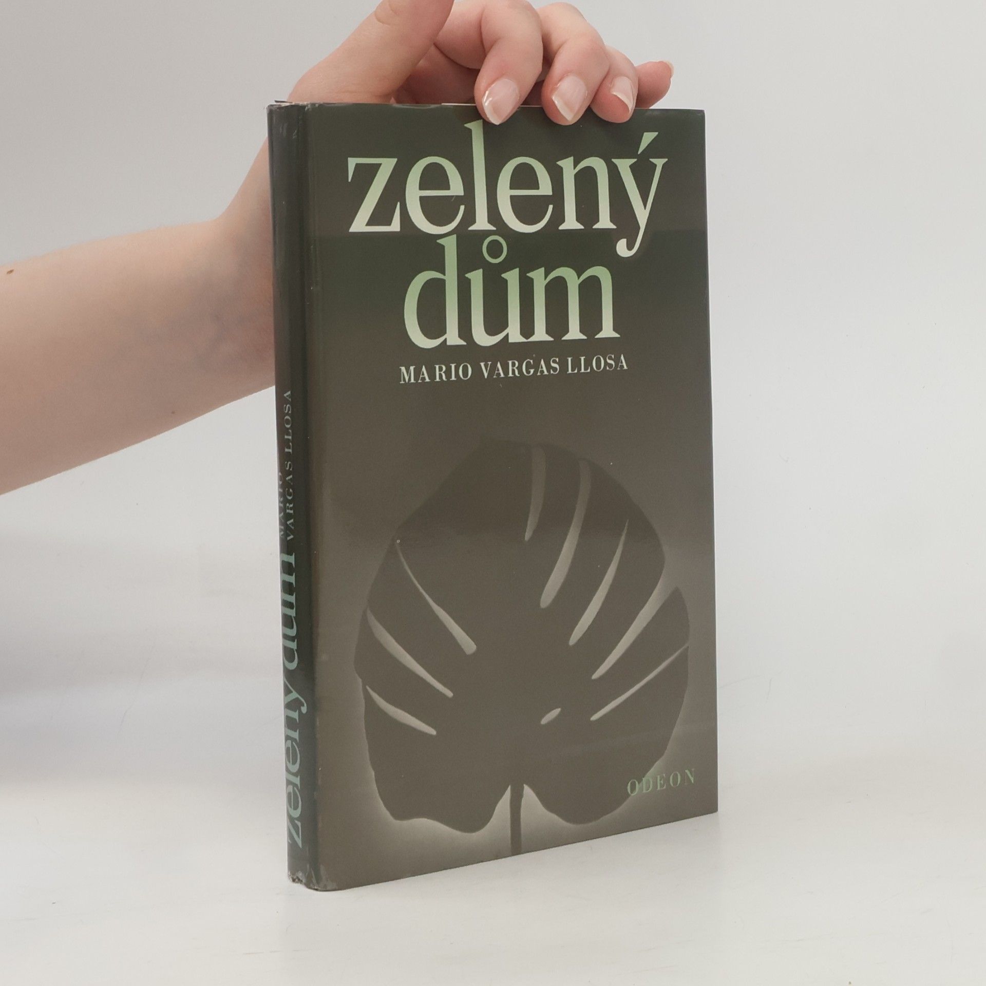 Mario Vargas Llosa Zelený dům