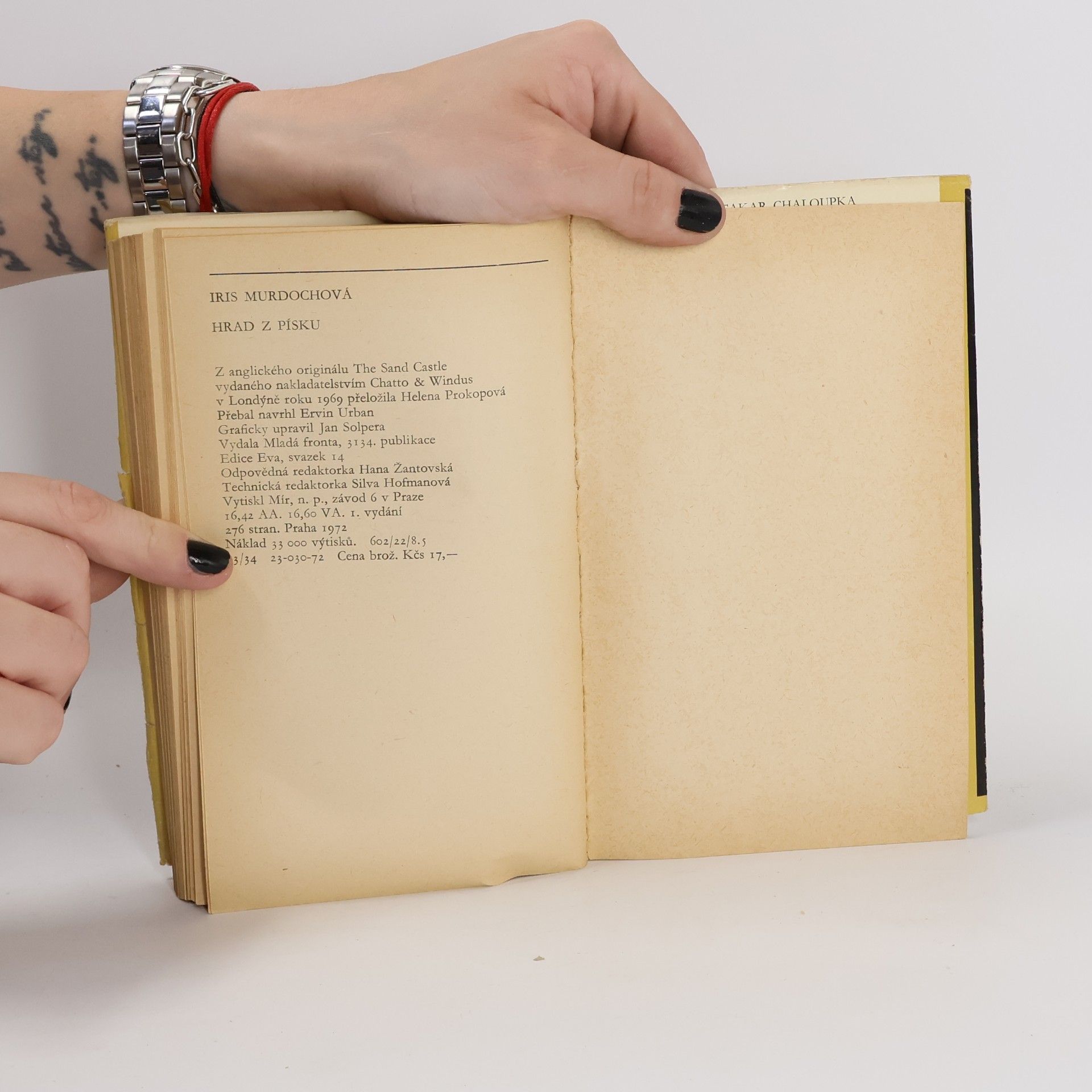 Iris Murdoch Hrad z písku