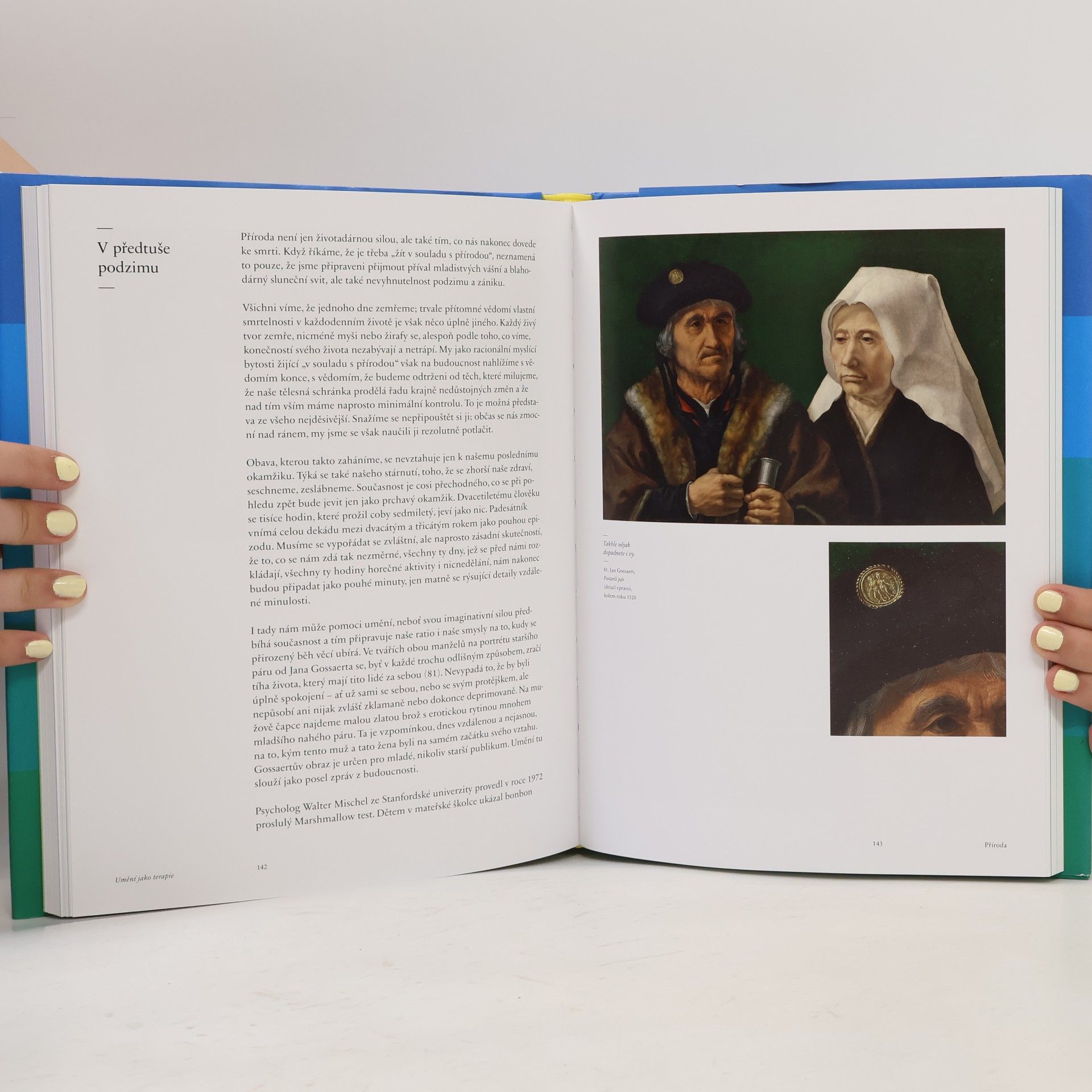 Alain de Botton Umění jako terapie