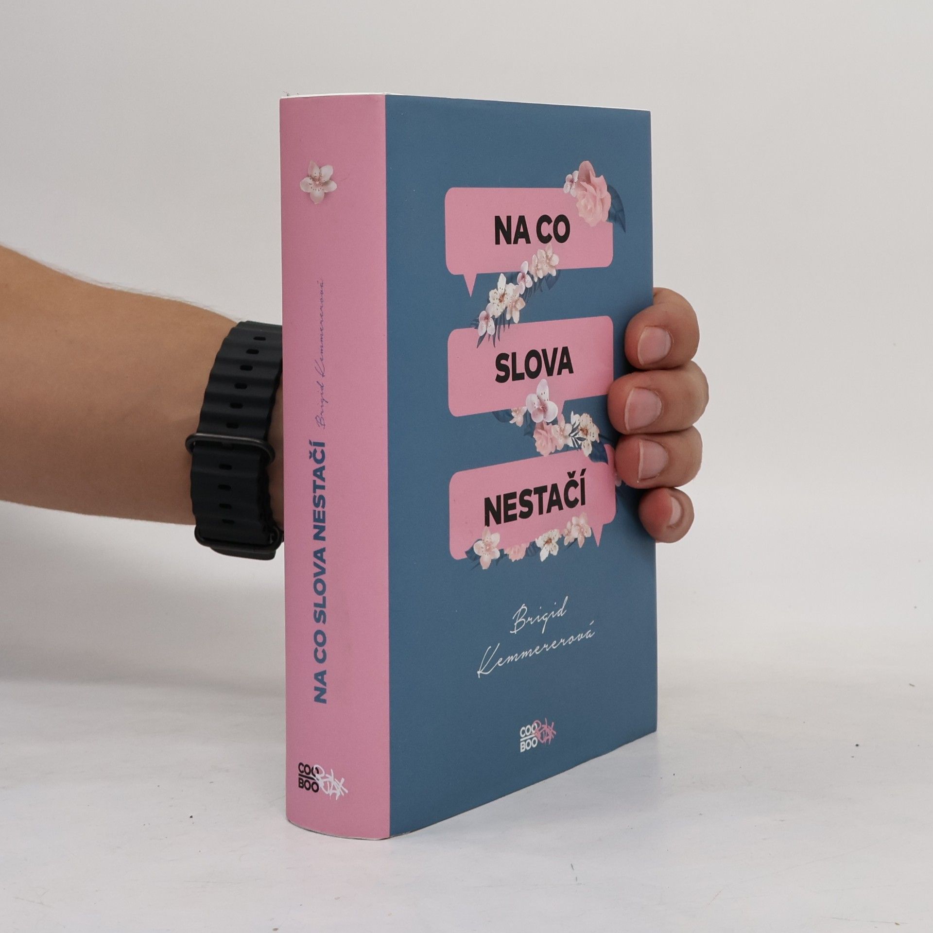 Brigid Kemmerer Na co slova nestačí