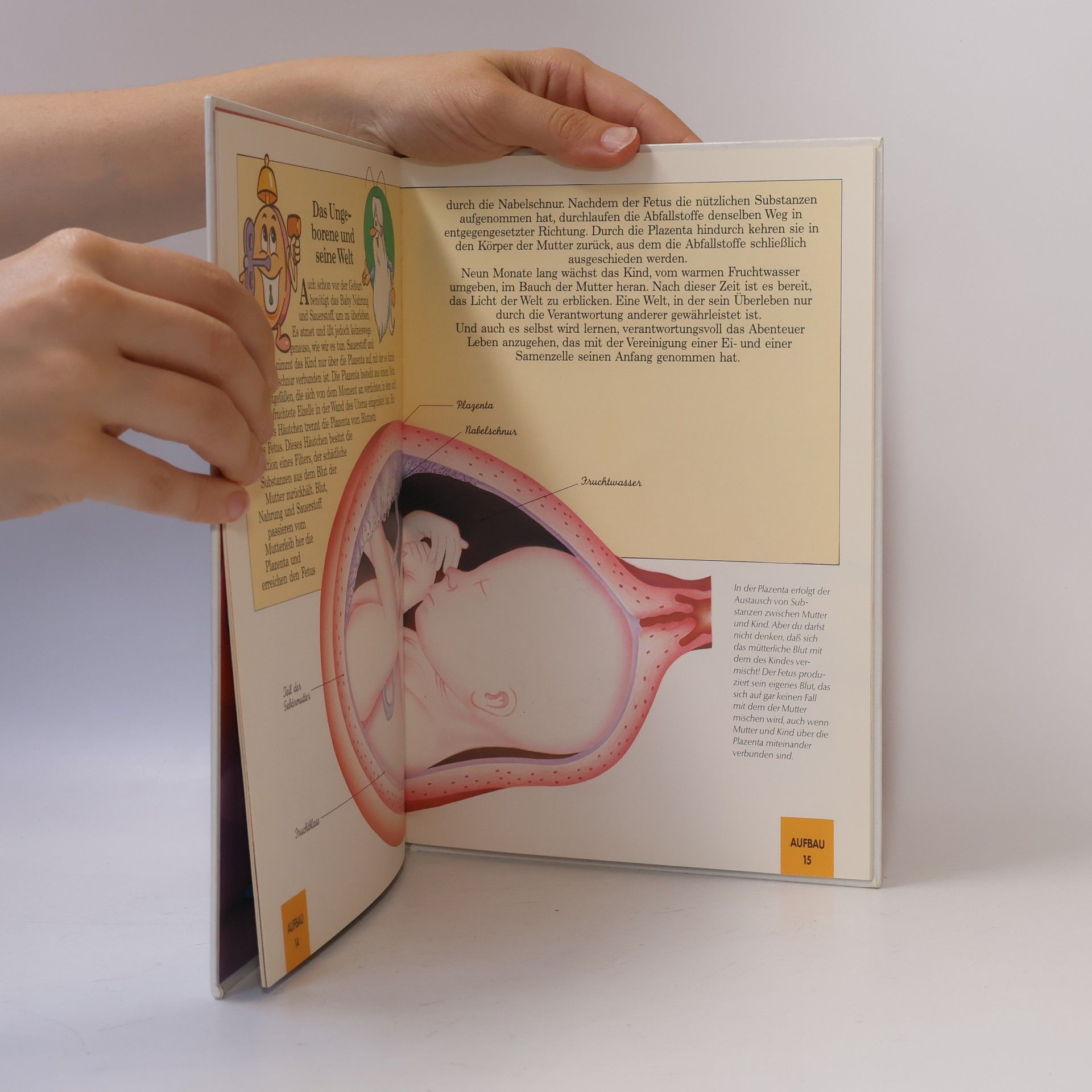 Autores varios Mein Körper. Was ist das? Die Geburt II