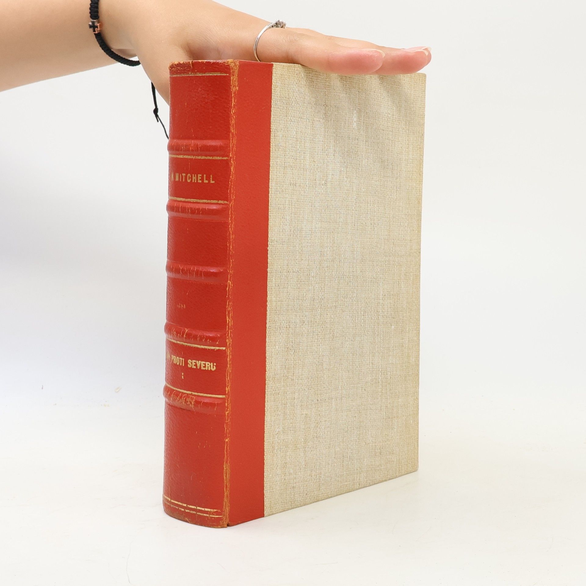 Margaret Mitchell Jih proti severu 1