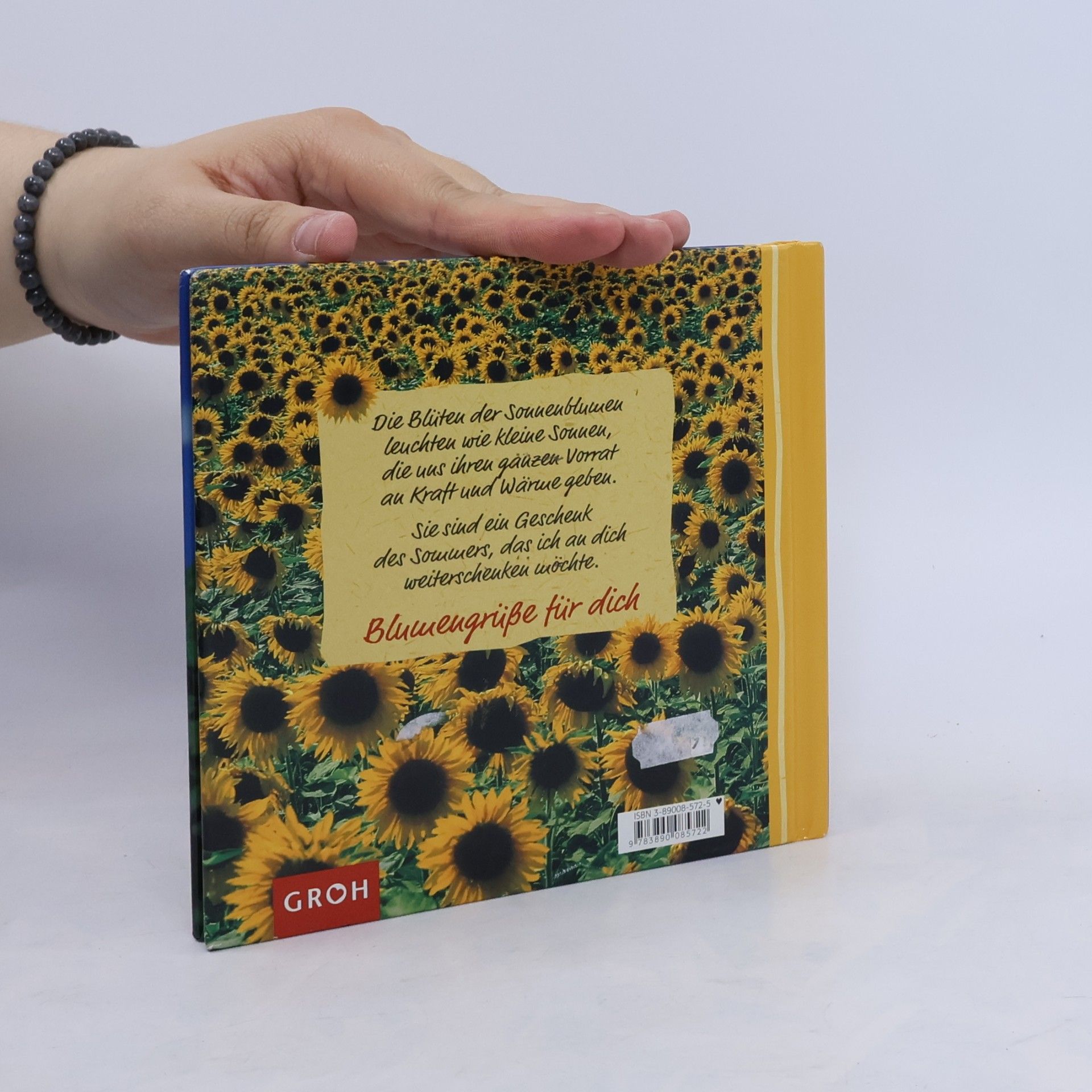 Dorothée Bleker Sonnenblumen für dich
