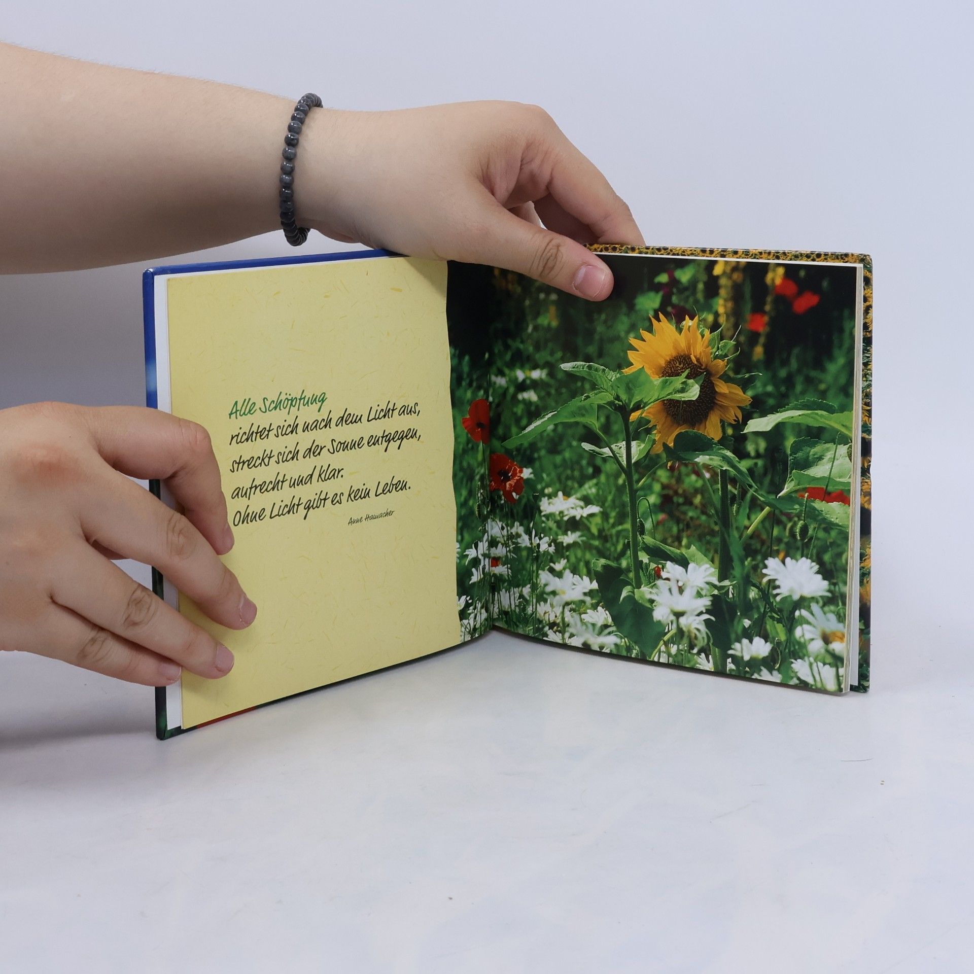 Dorothée Bleker Sonnenblumen für dich