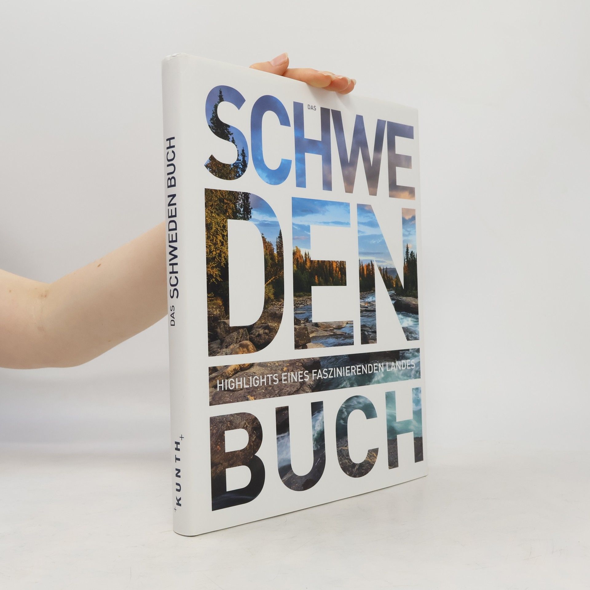 Iris Ottinger Das Schweden Buch
