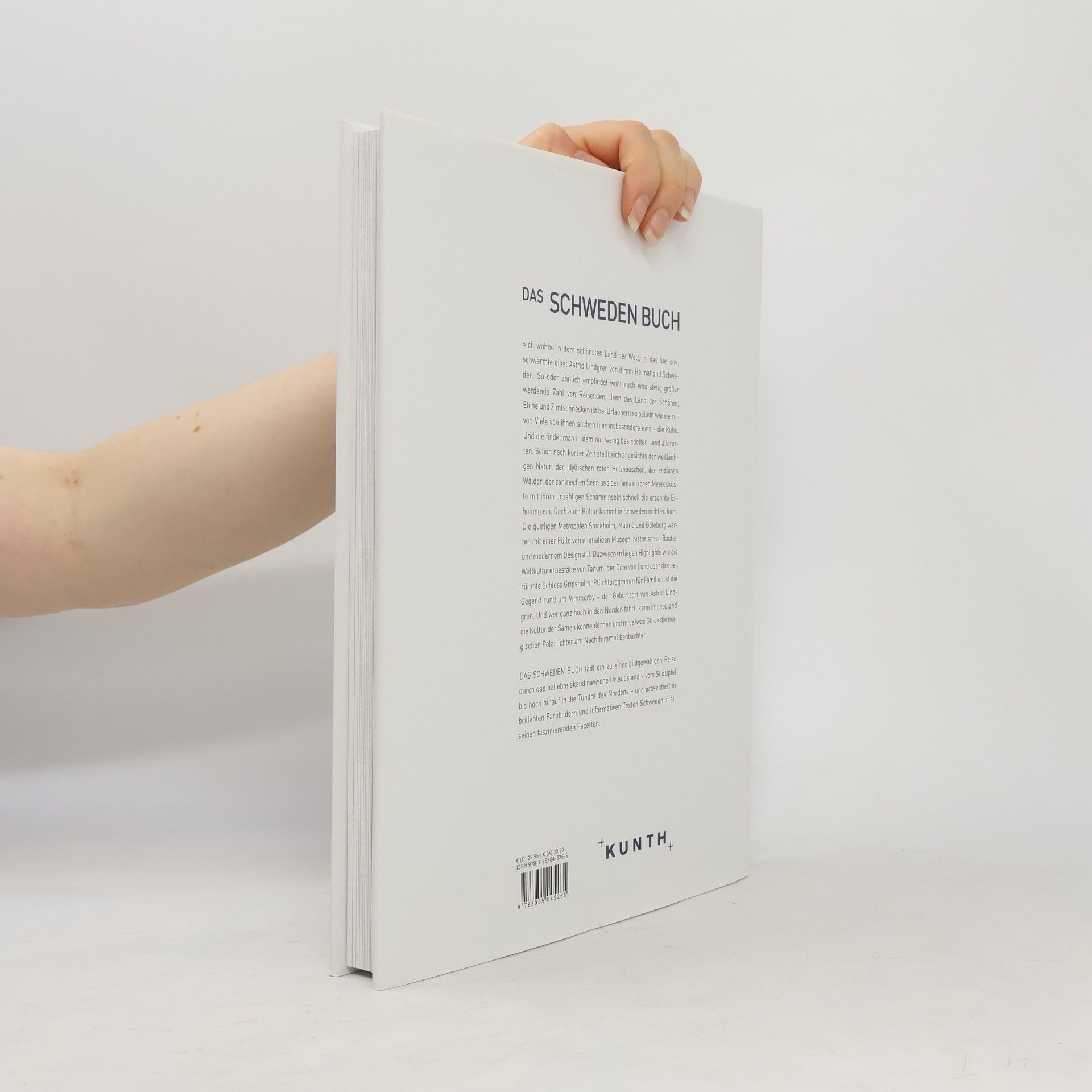 Iris Ottinger Das Schweden Buch