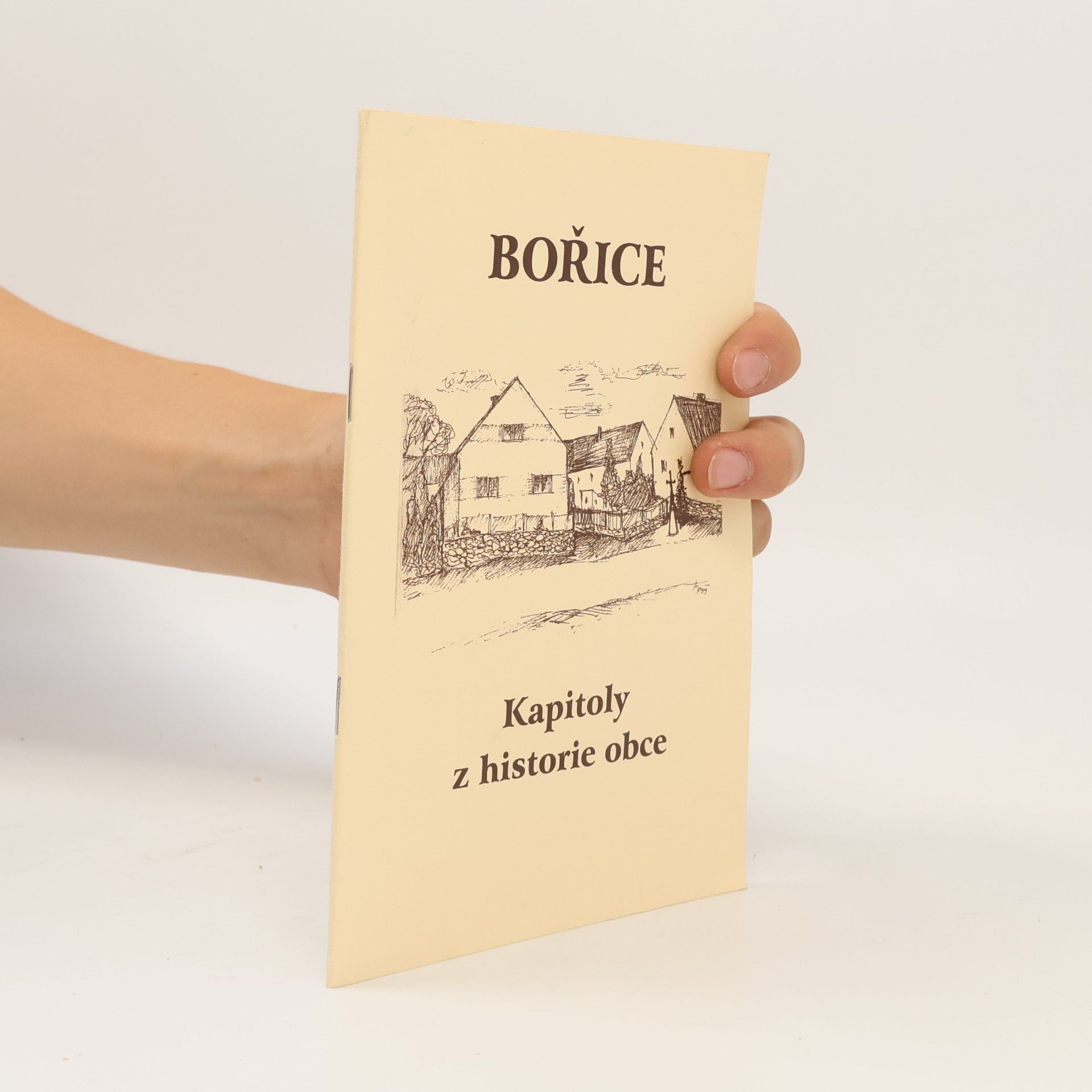 Collectif d'auteurs Bořice. Kapitoly z historie obce