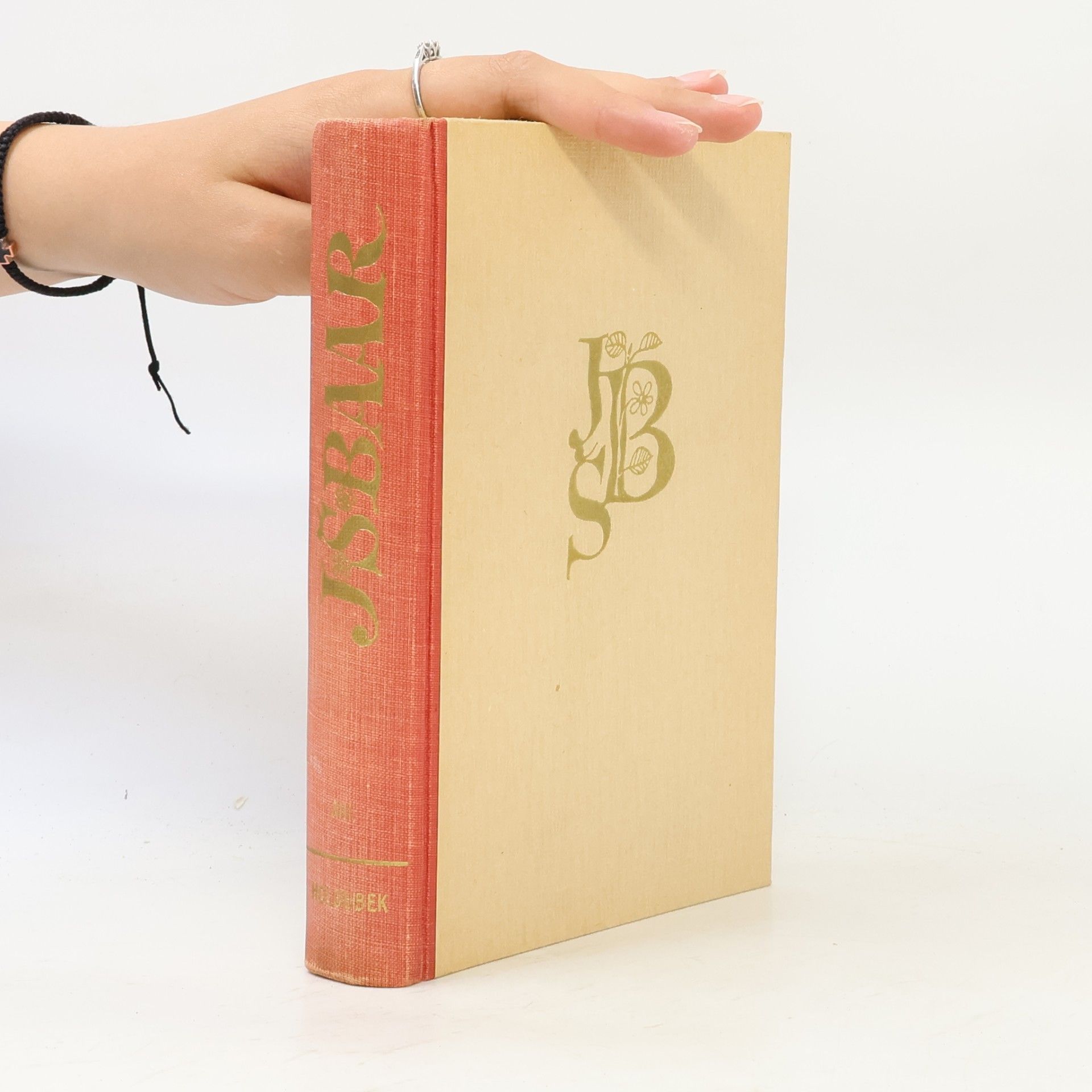 Jindřich Šimon Baar Sebrané spisy Jindřicha Š. Baara sv. 13: Holoubek