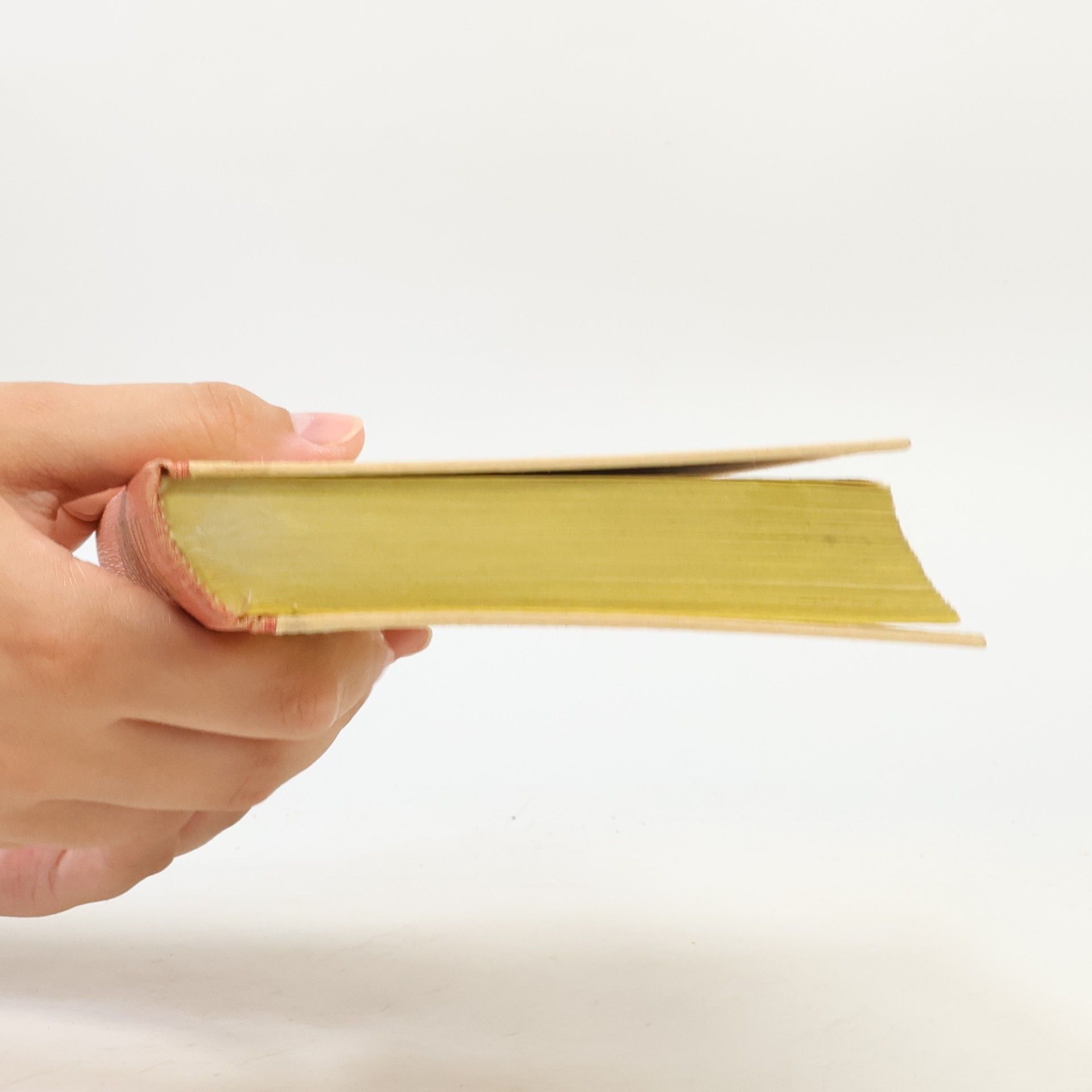 Jindřich Šimon Baar Sebrané spisy Jindřicha Š. Baara sv. 13: Holoubek