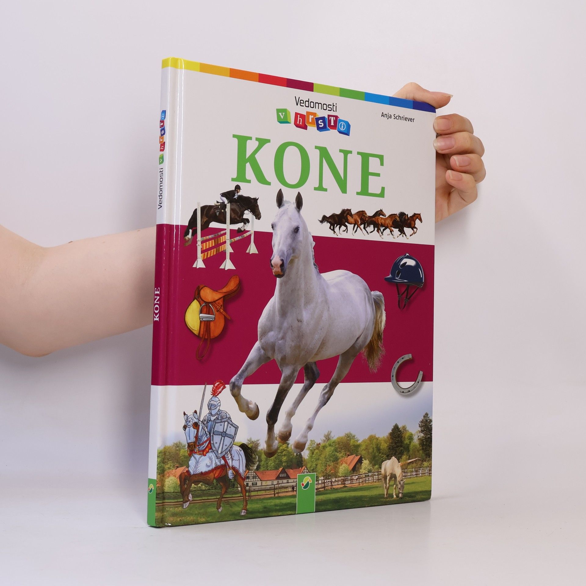 Anja Schriever Kone