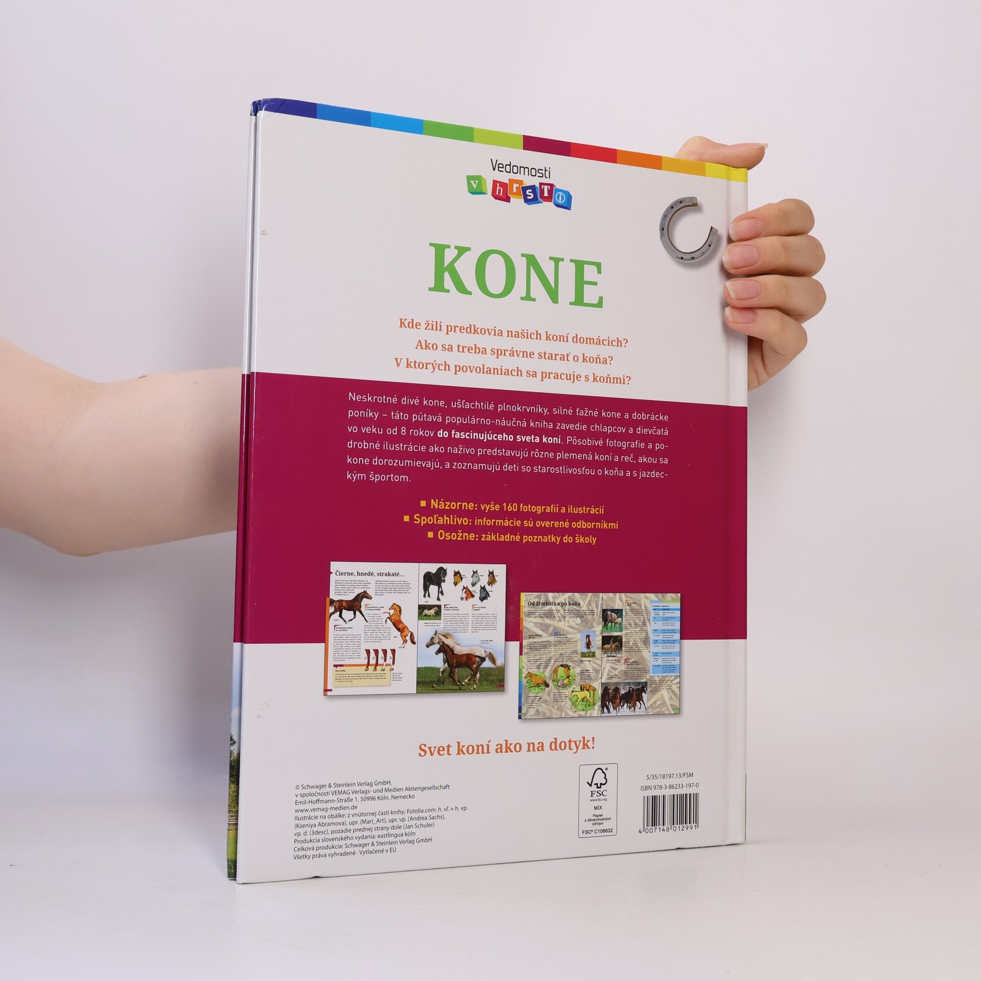 Anja Schriever Kone