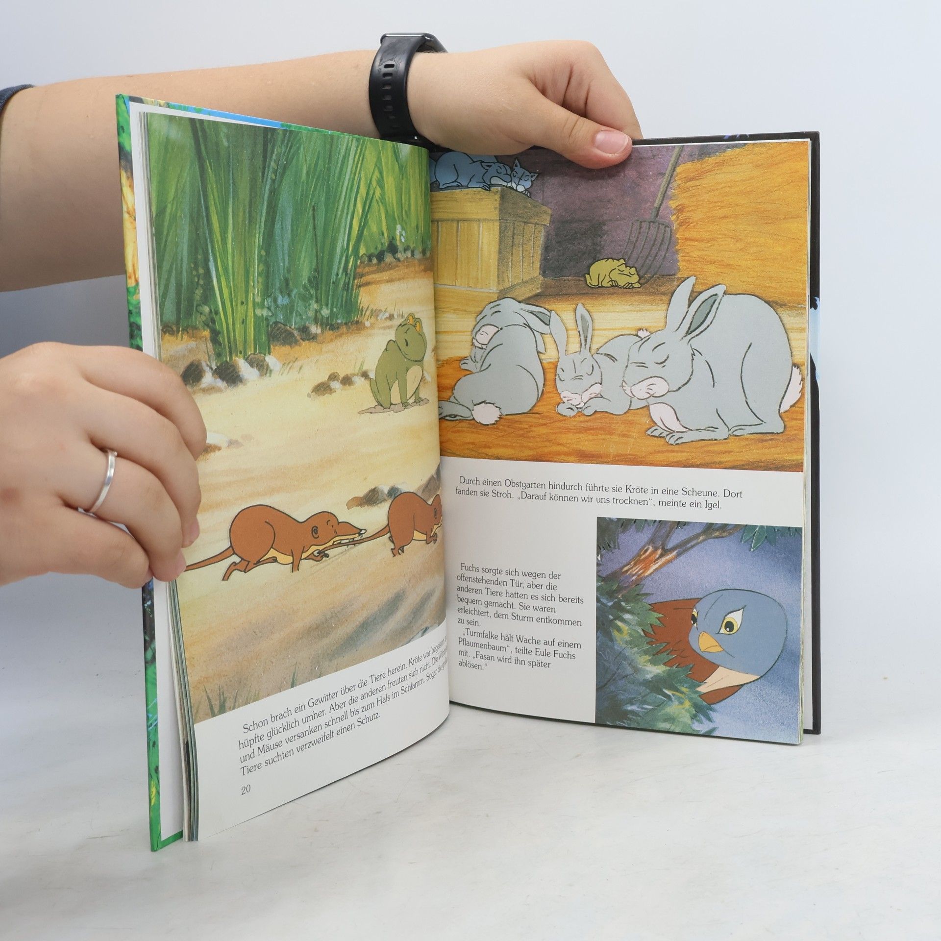 Colin Dann Als die Tiere den Wald verließen. Das Buch zur Fernsehserie