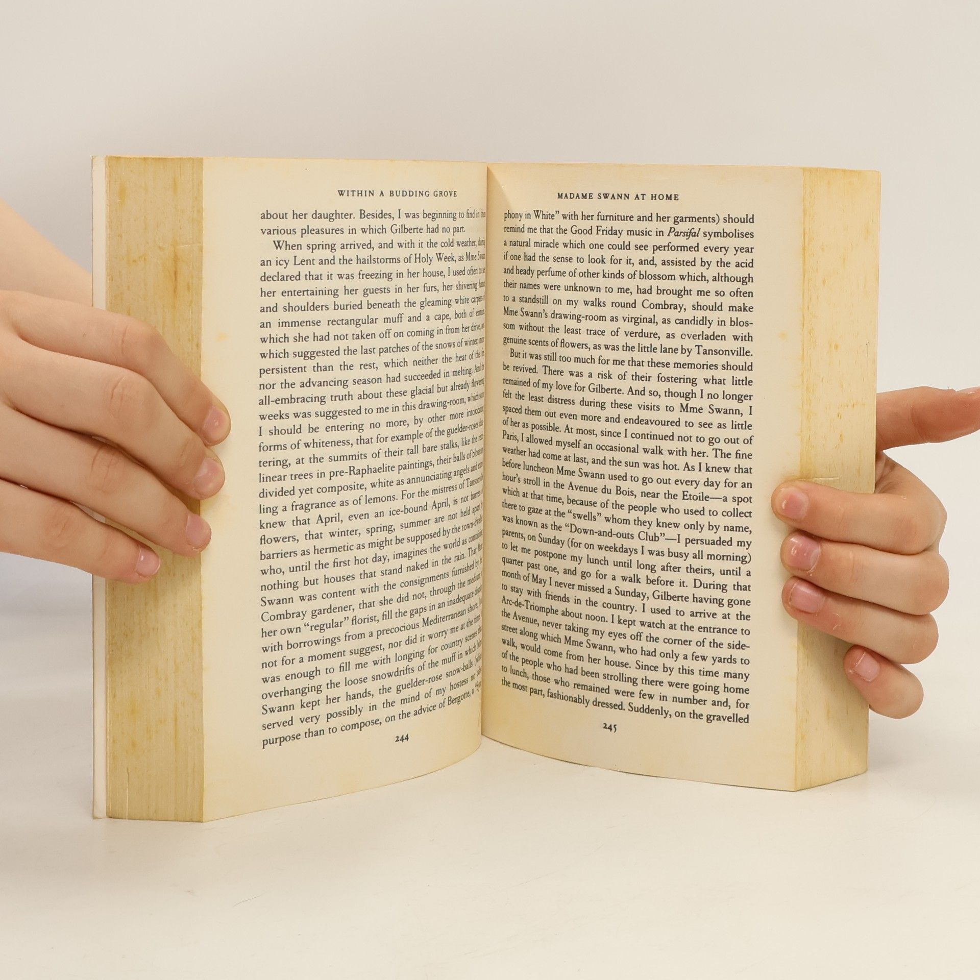 Marcel Proust In Search of Lost Time, Volume II: Within a Budding Grove