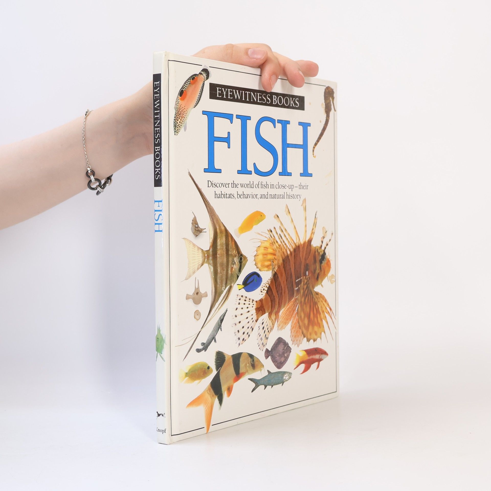Dorling Kindersley Ltd Fish