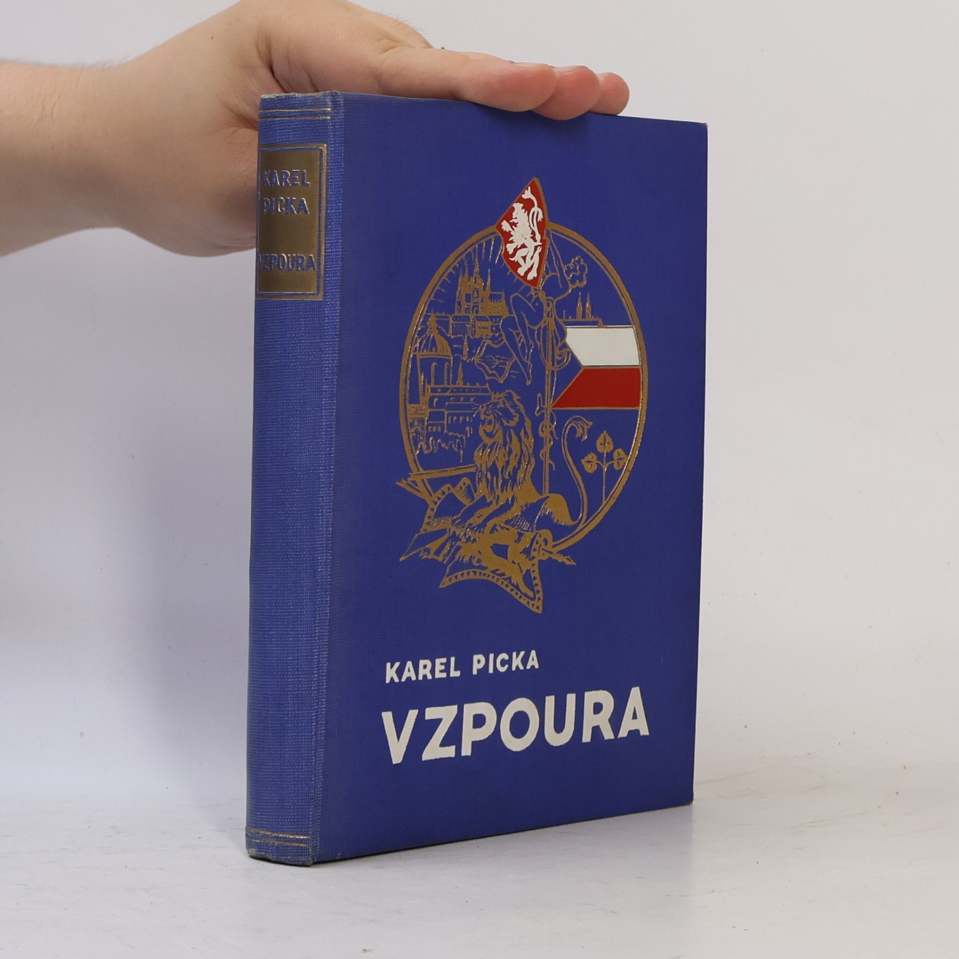 Vzpoura