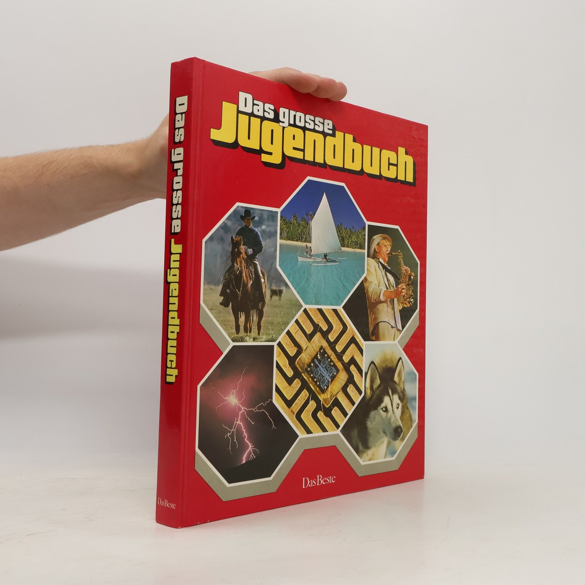 Autorenkollektiv Das große Jugendbuch