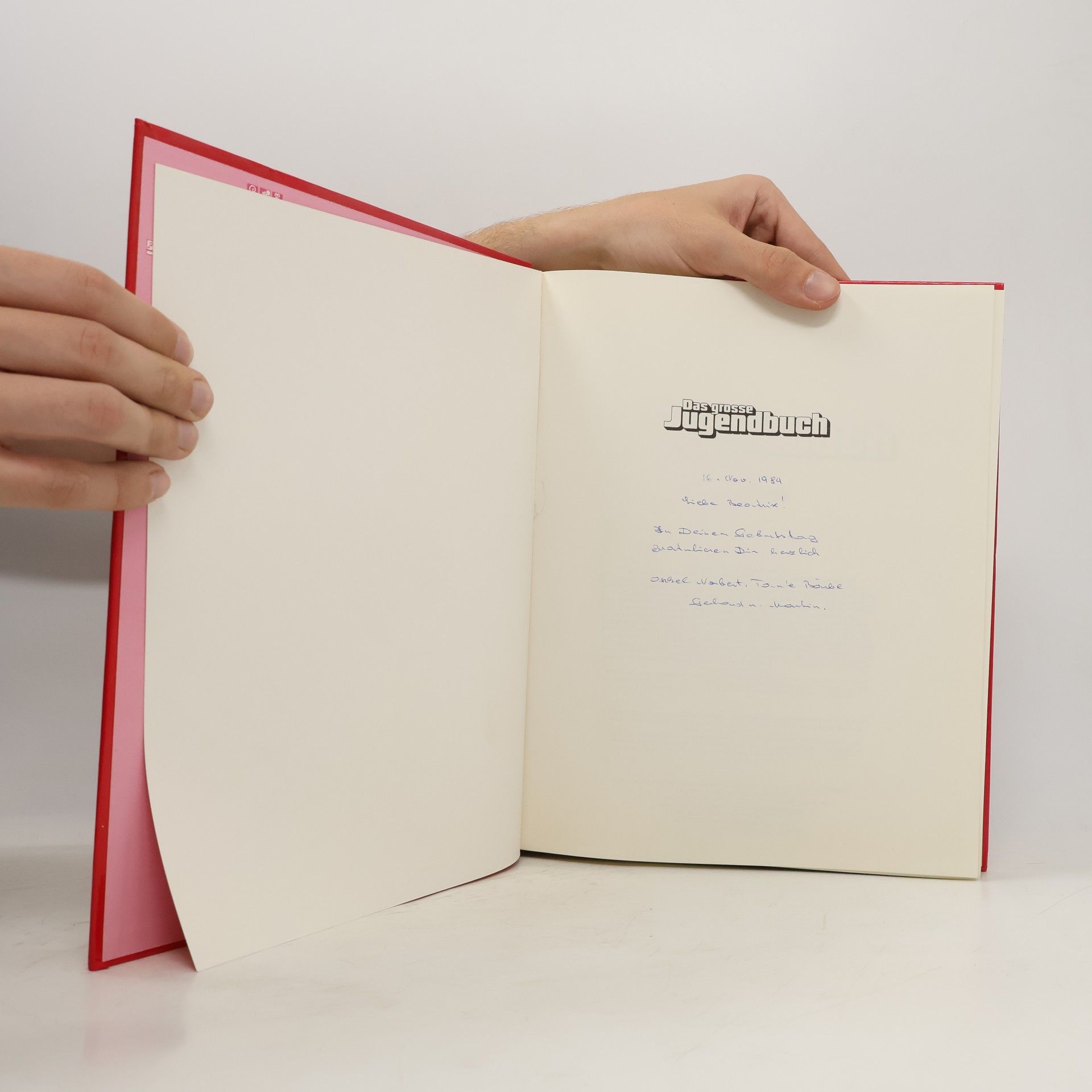 Autorenkollektiv Das große Jugendbuch