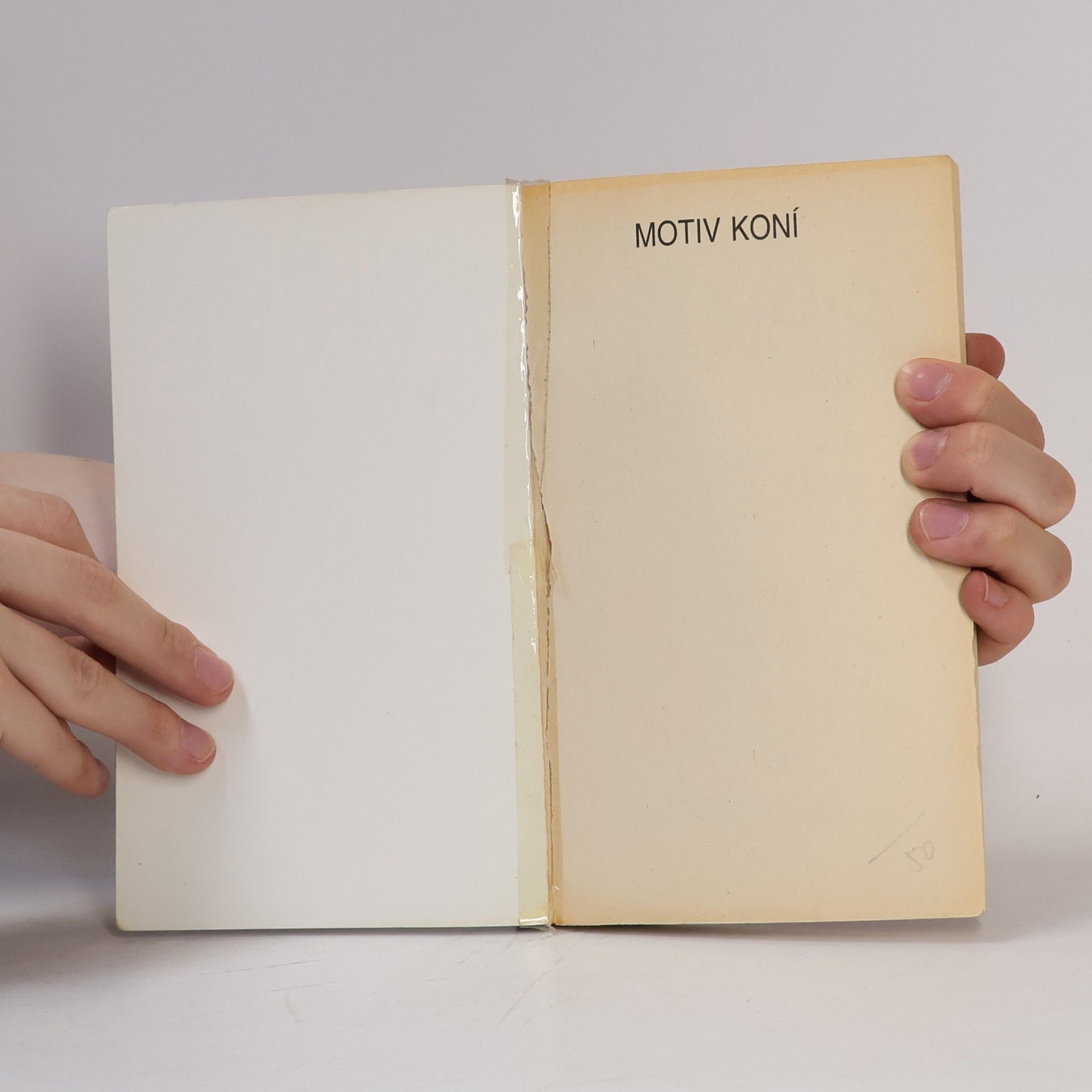 Dick Francis Motiv koní