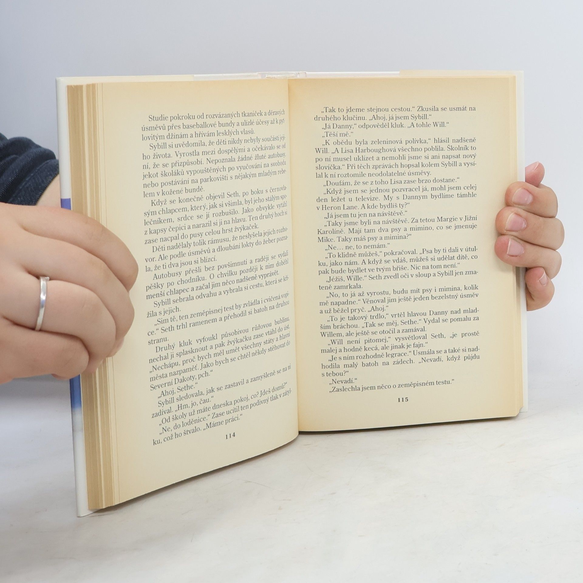 Nora Roberts Tichý přístav
