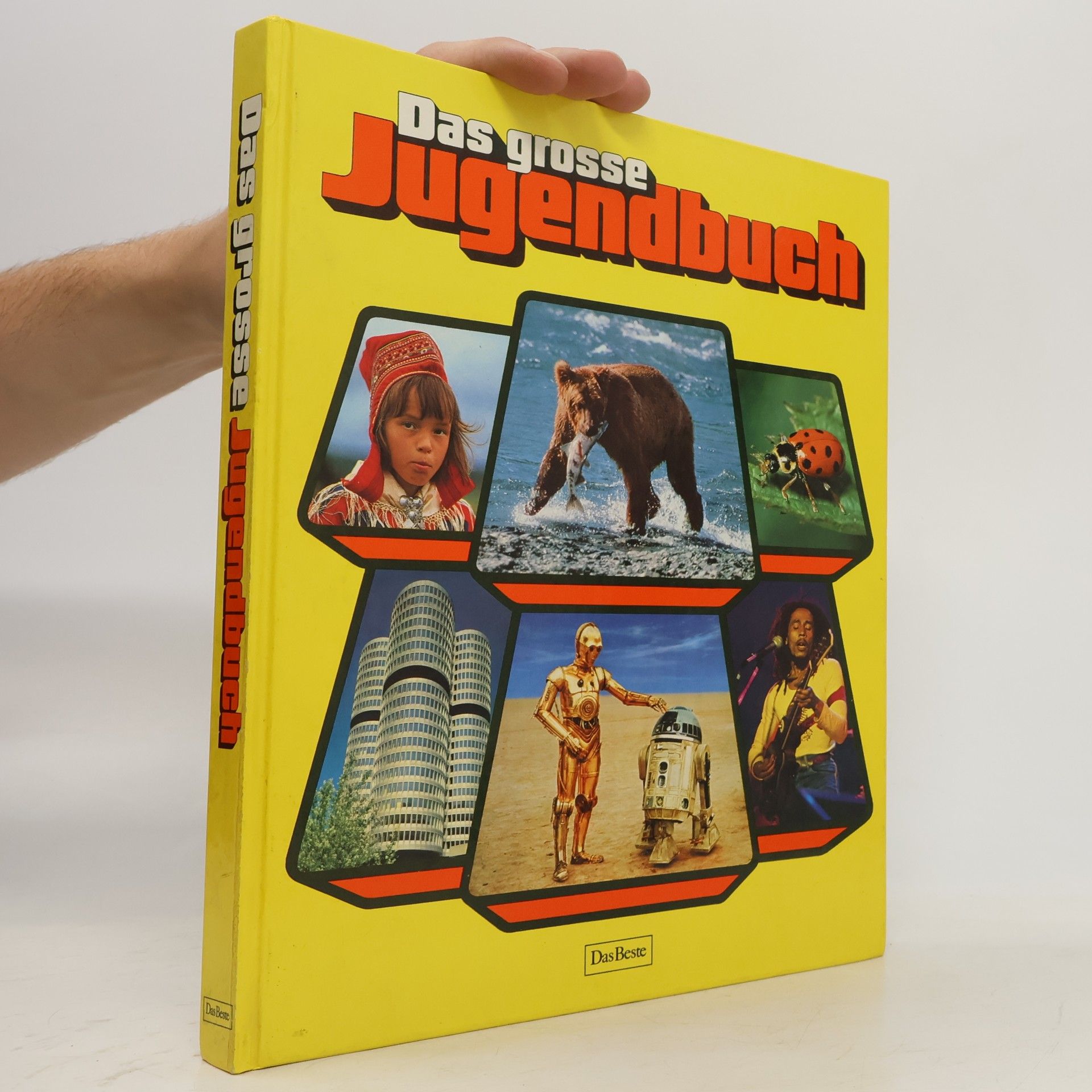 09 a83 Das grosse jugendbuch