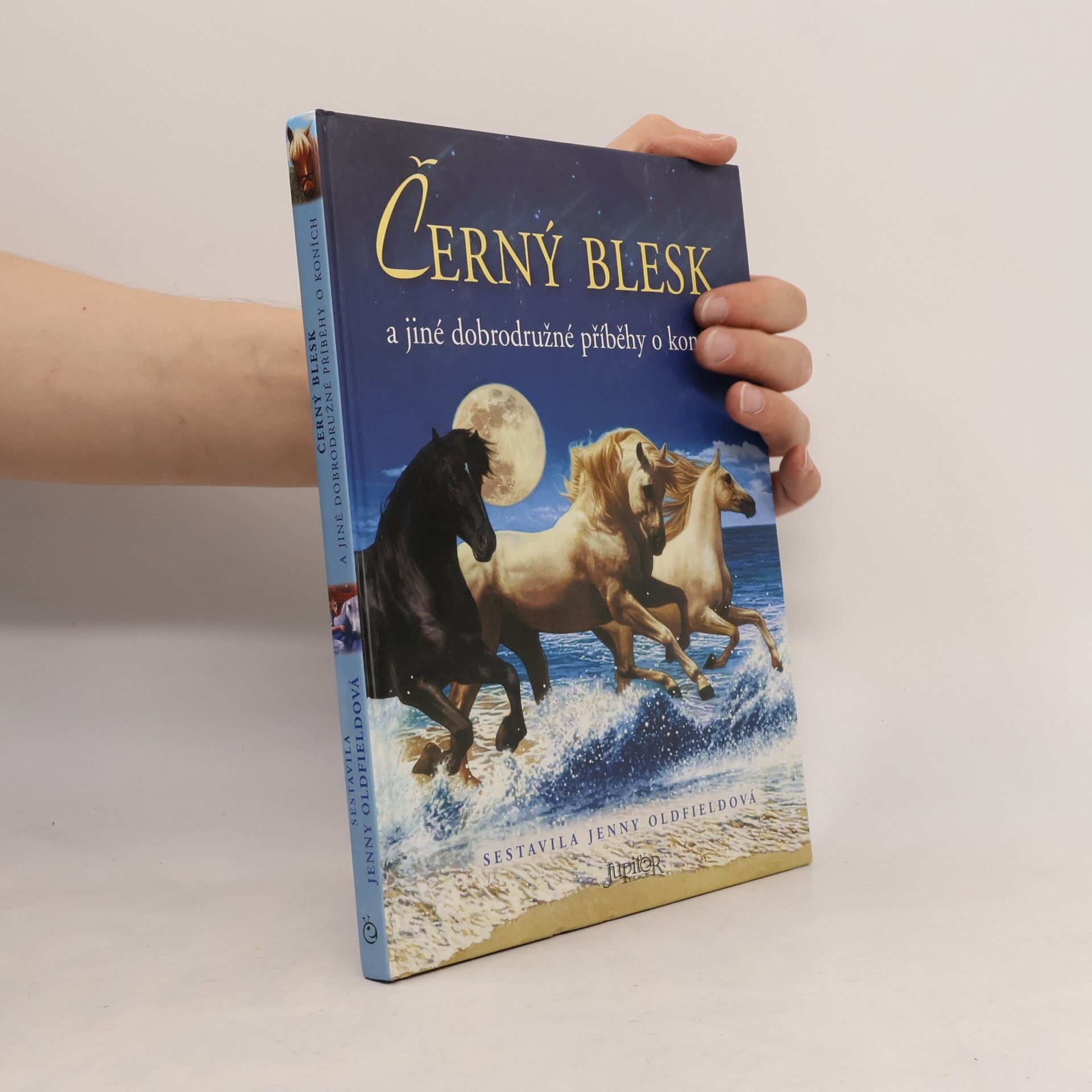Jenny Oldfield Černý blesk a jiné dobrodružné příběhy o koních