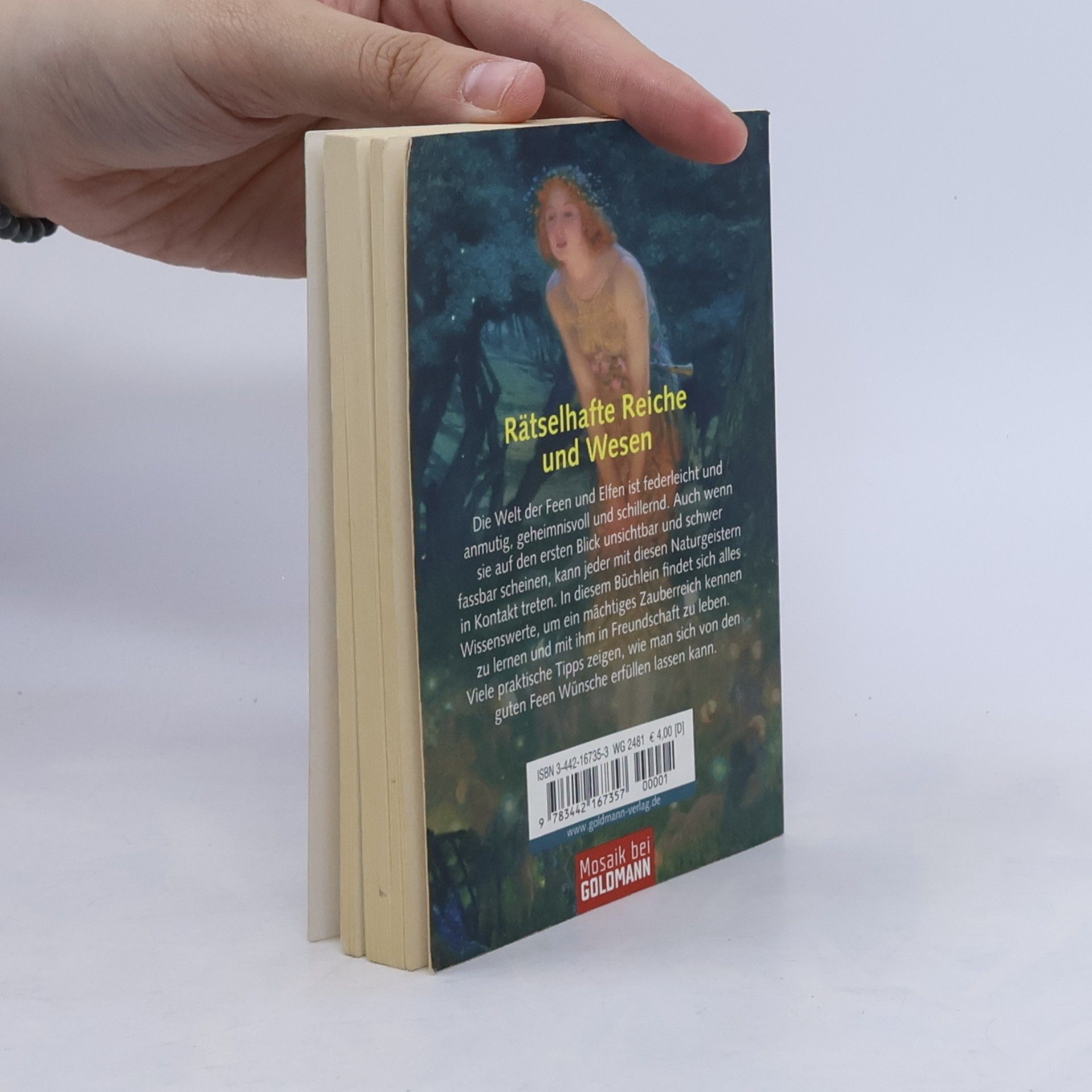 Stecher Christine Das kleine Buch der Feen und Elfen