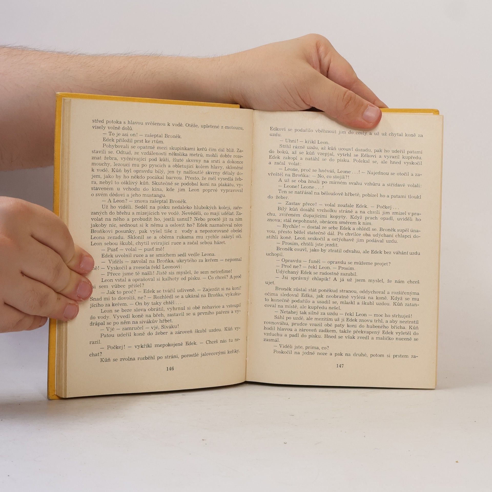 Collectif d'auteurs Šestipatrový den