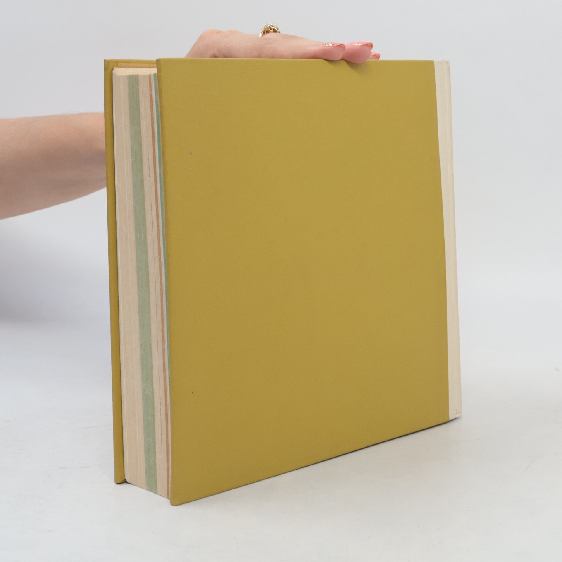 Autorenkollektiv 12 maanden tuinieren