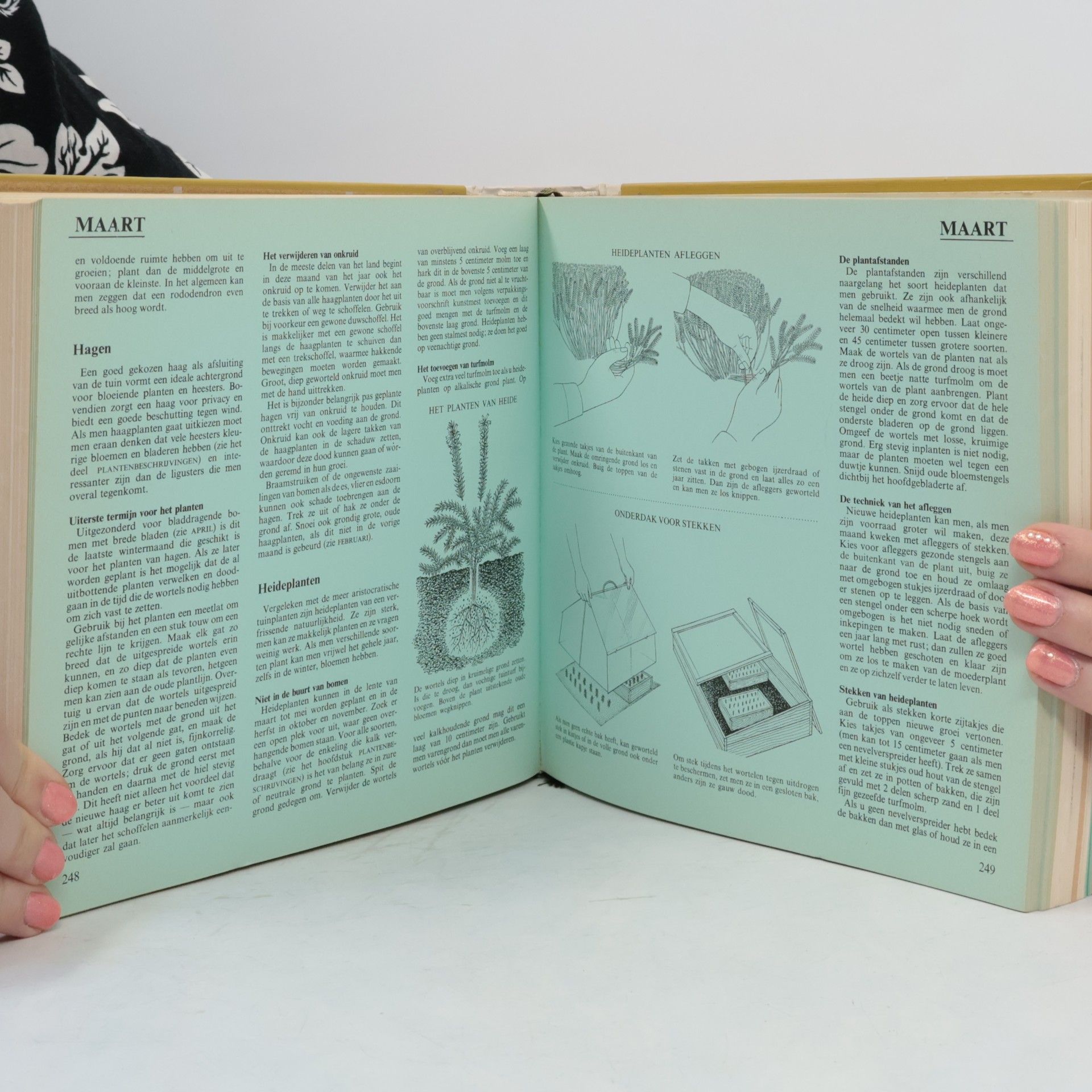 Autorenkollektiv 12 maanden tuinieren